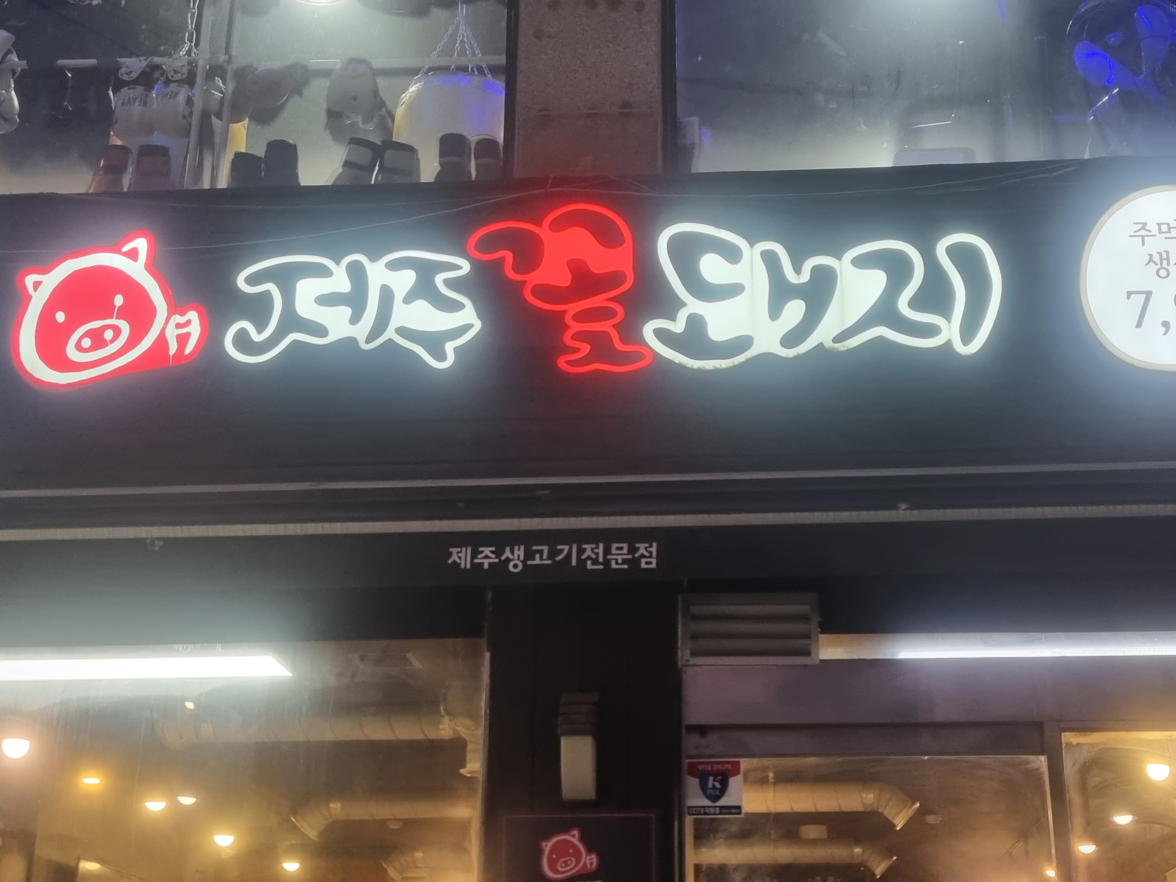 제주꽃돼지 사진 3