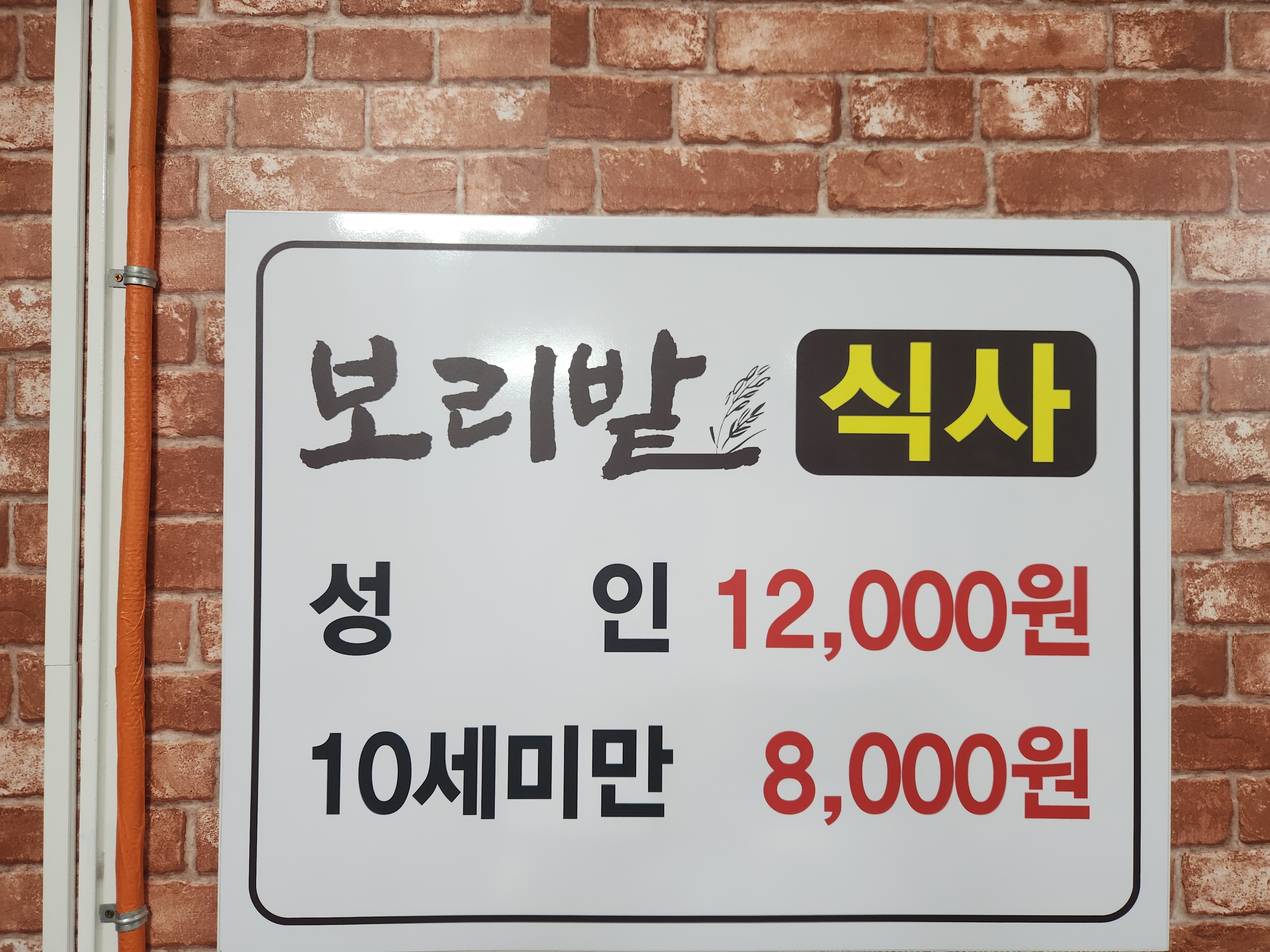 성인