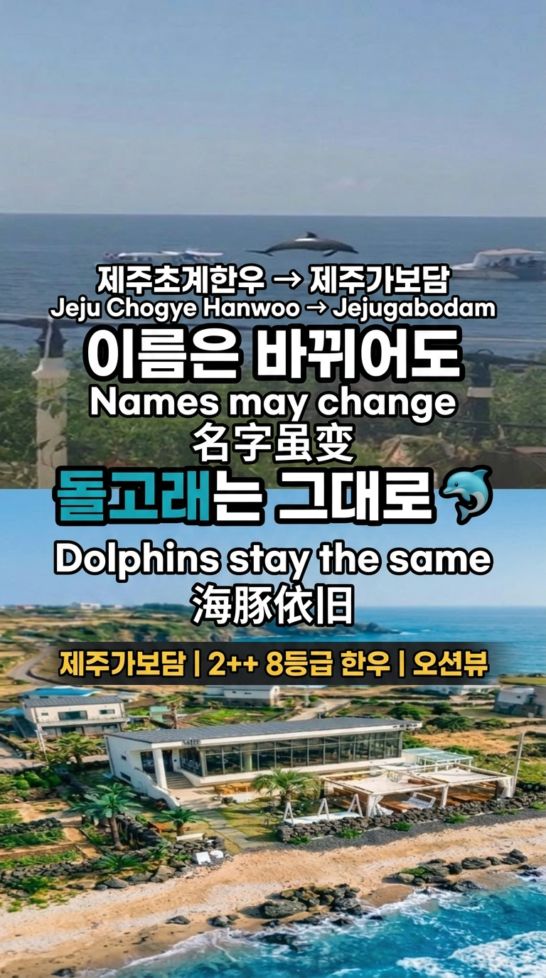 제주가보담한우흑돼지 서귀포본점 사진 5