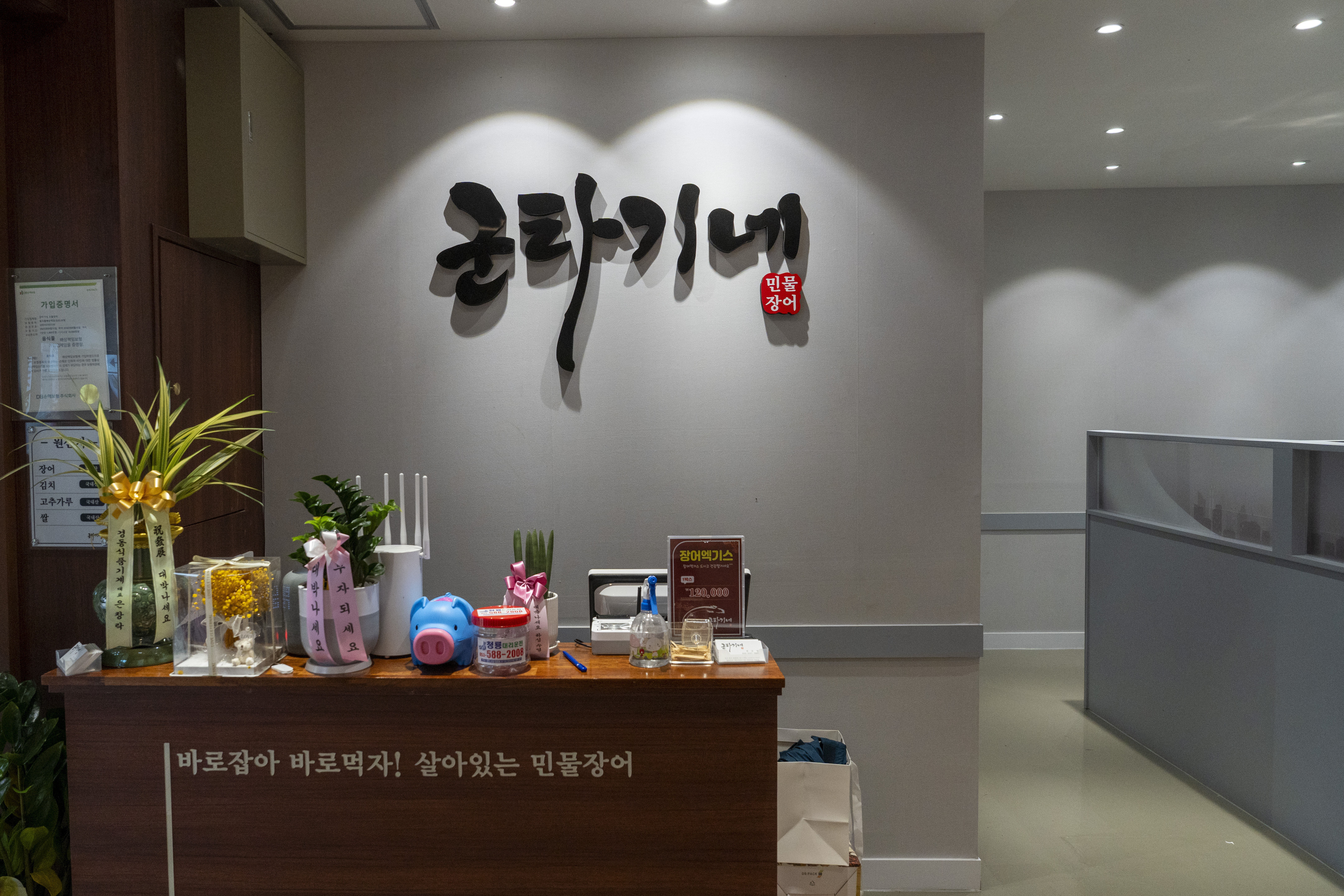 Guntagineminmuljangeo (군타기네민물장어) 3