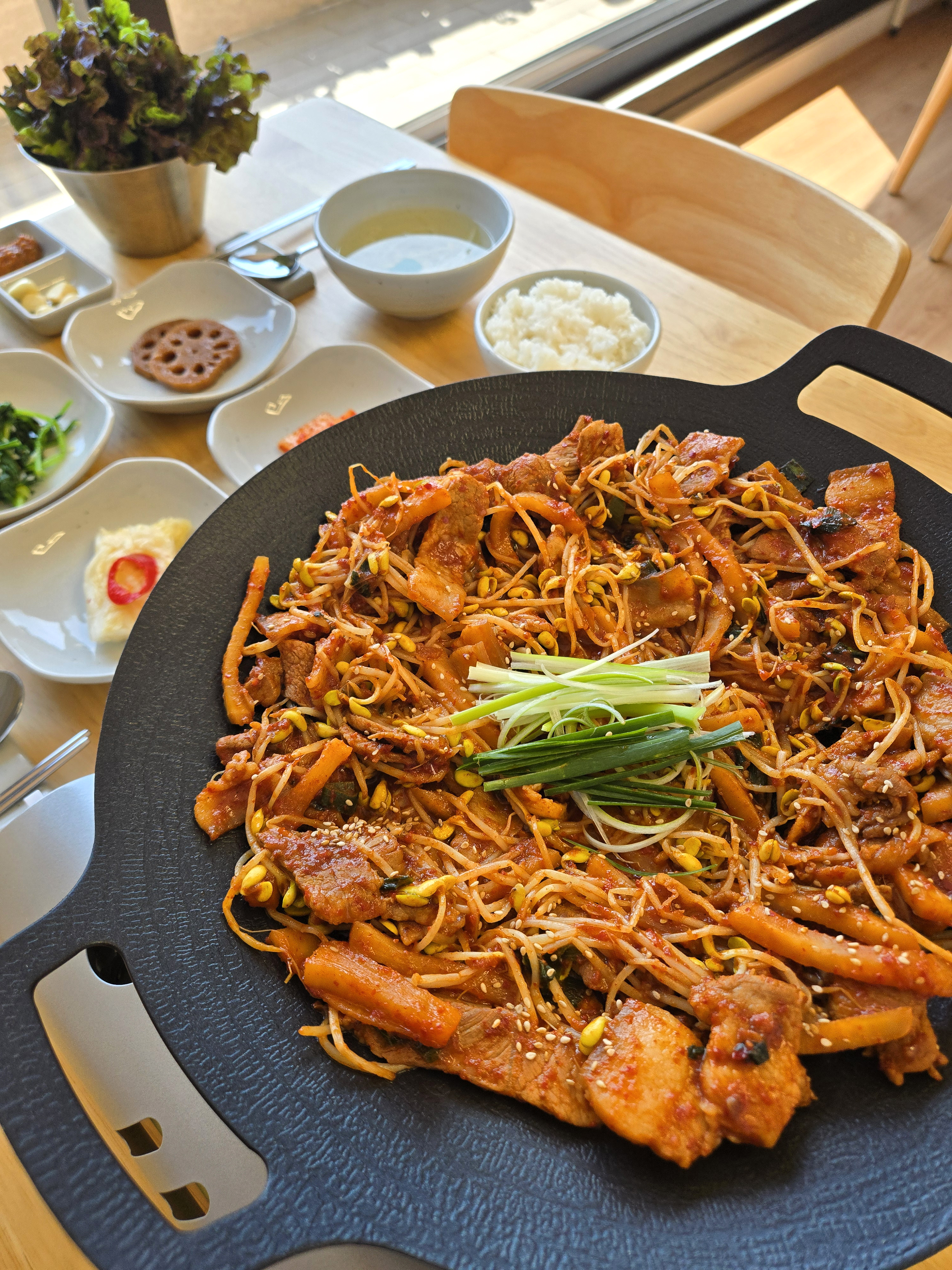 두치한치 사진 5