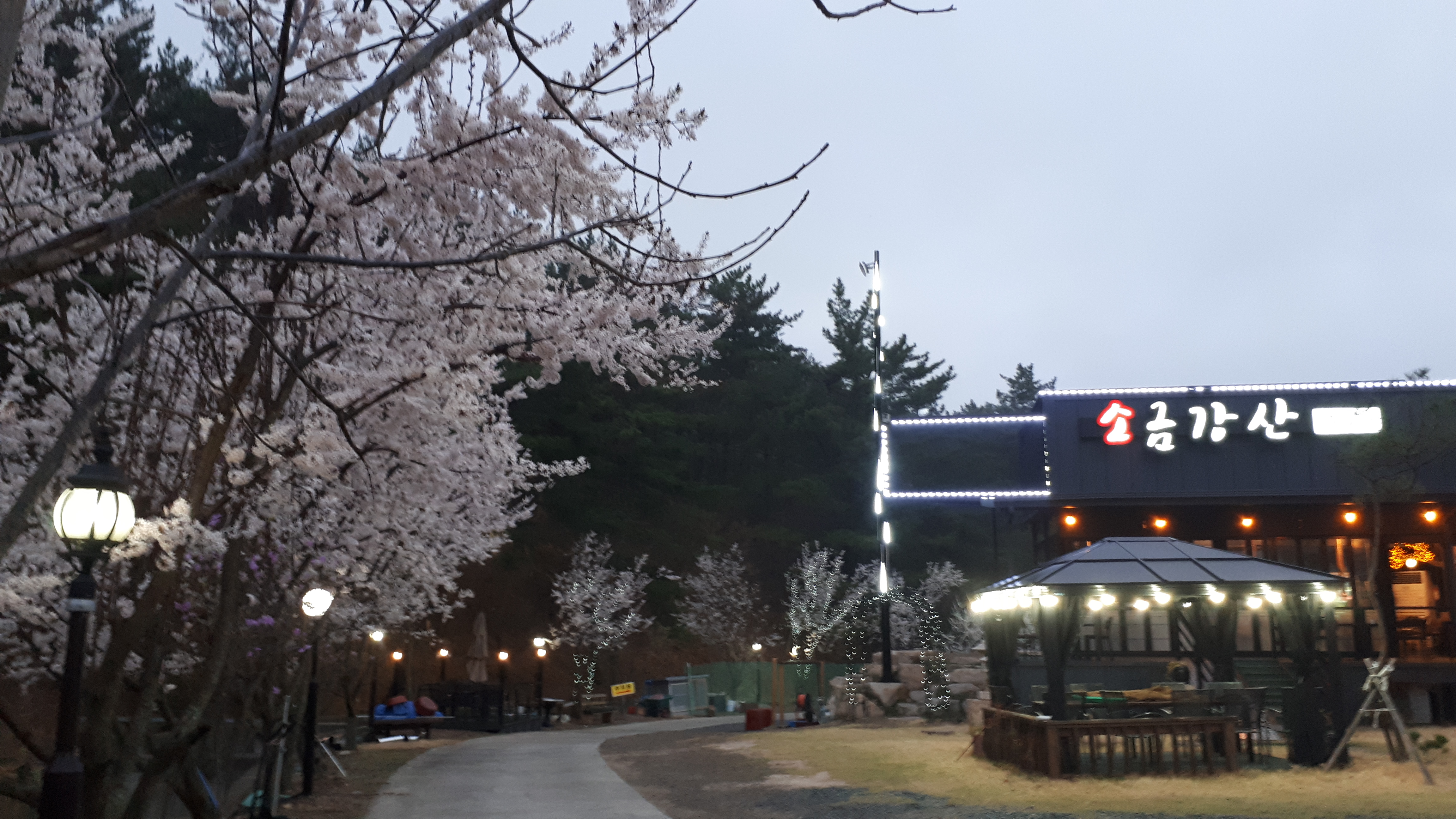 소금강산 사진 5