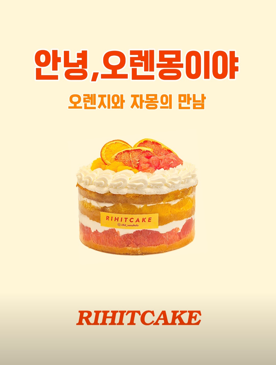 리히트 사진 3