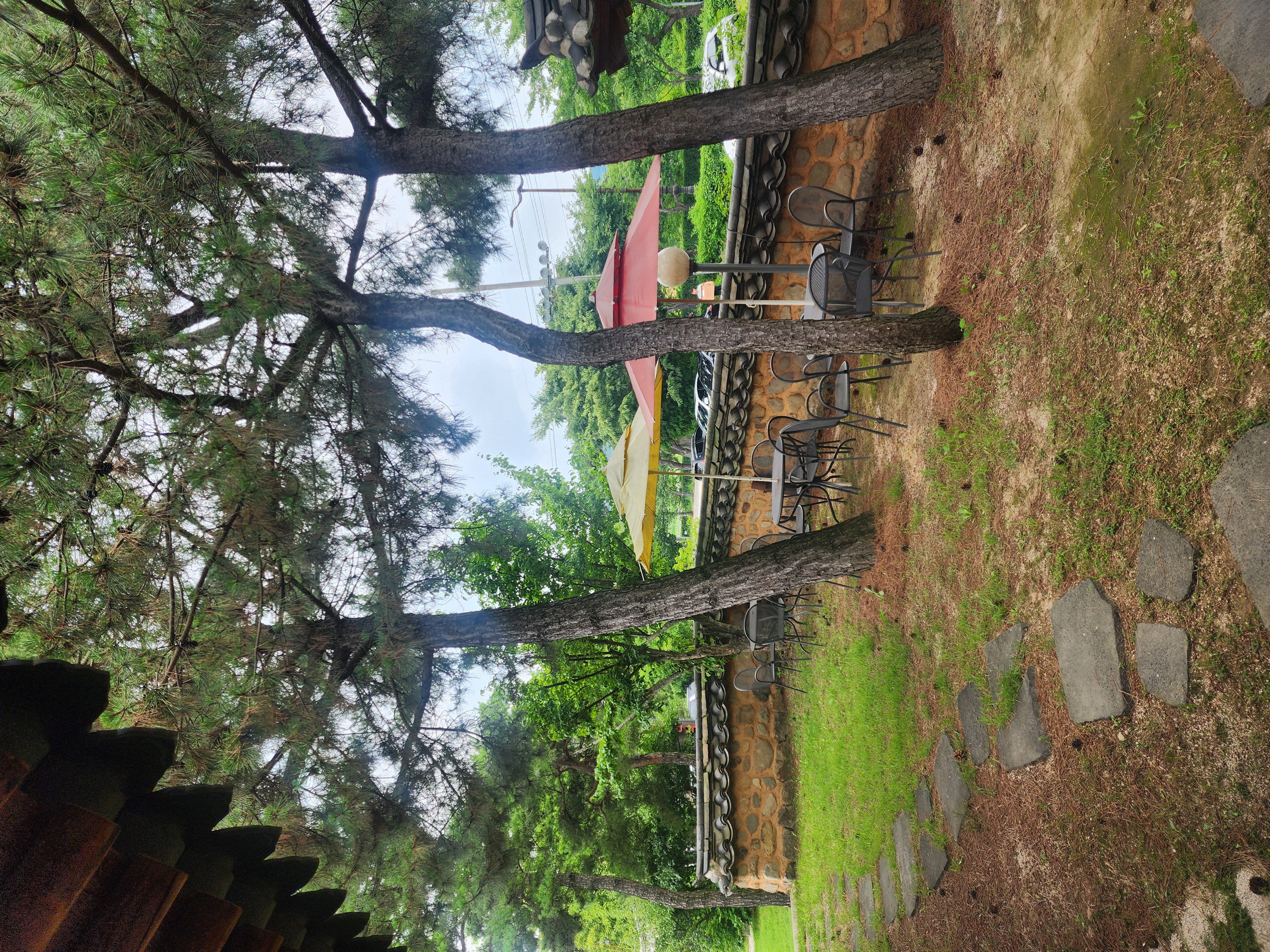 산죽칼국수 사진 5