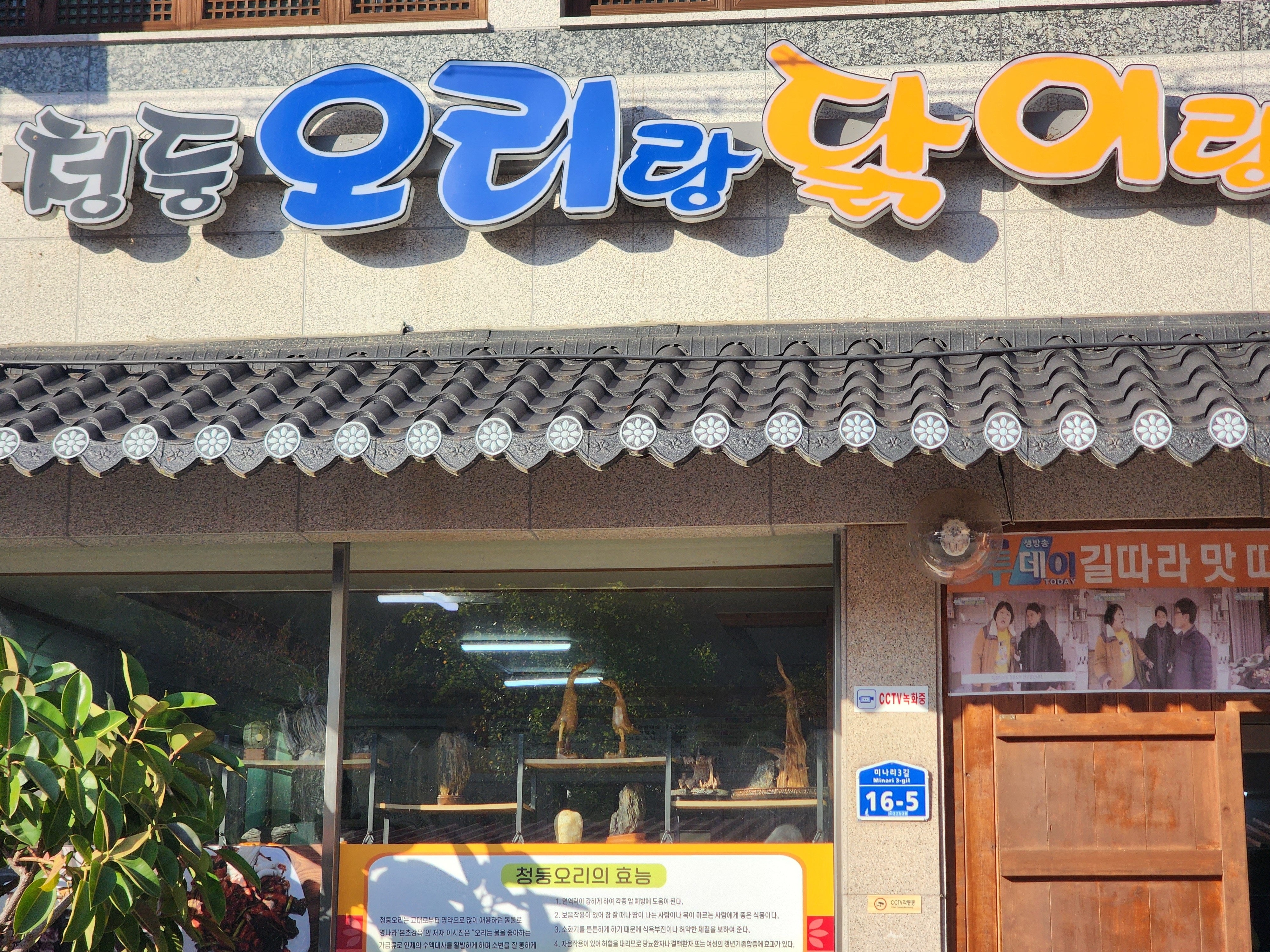청둥오리랑닭이랑 2
