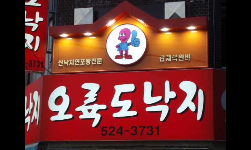 오륙도낙지 사진 7