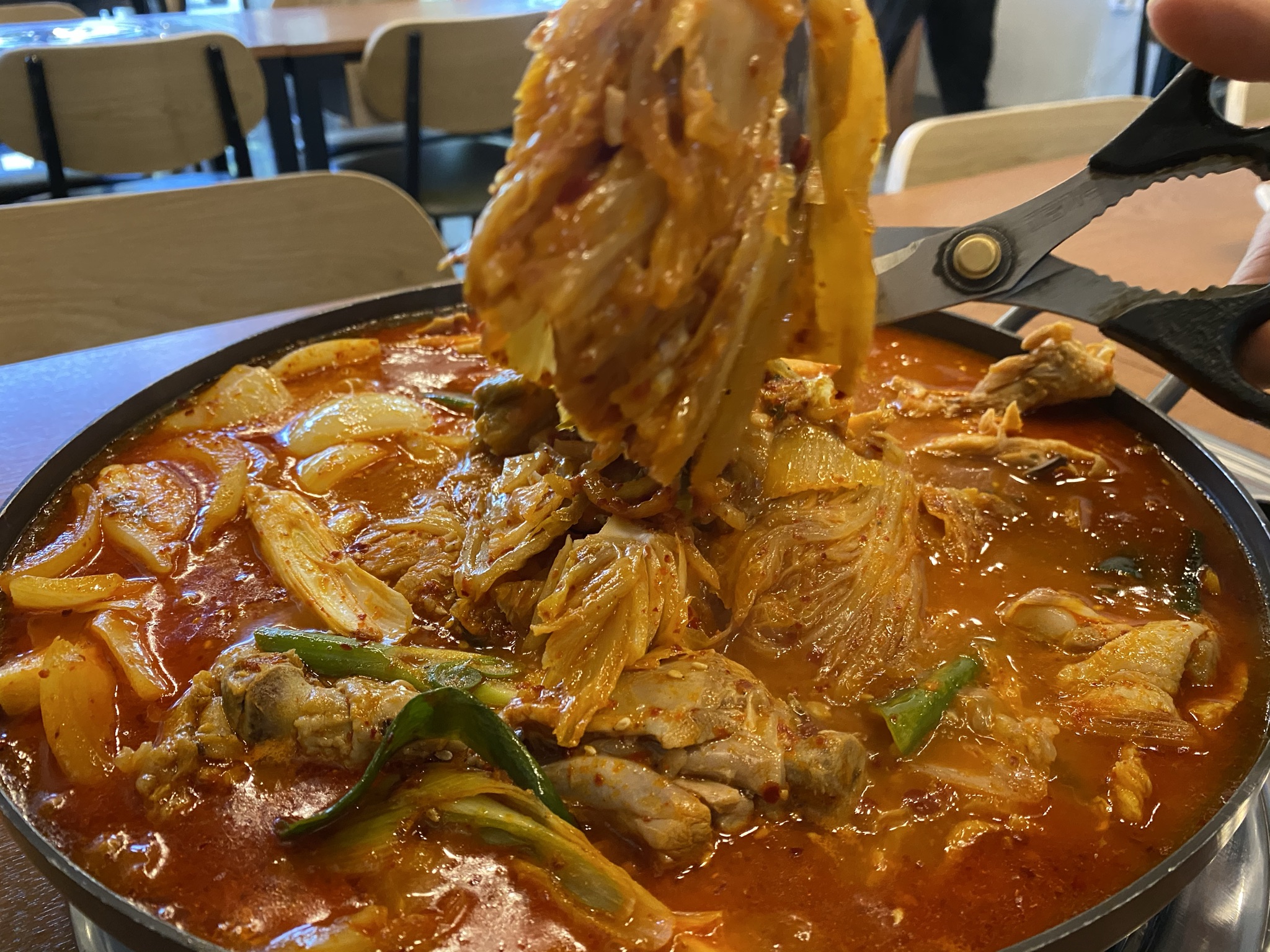 장마담집 2