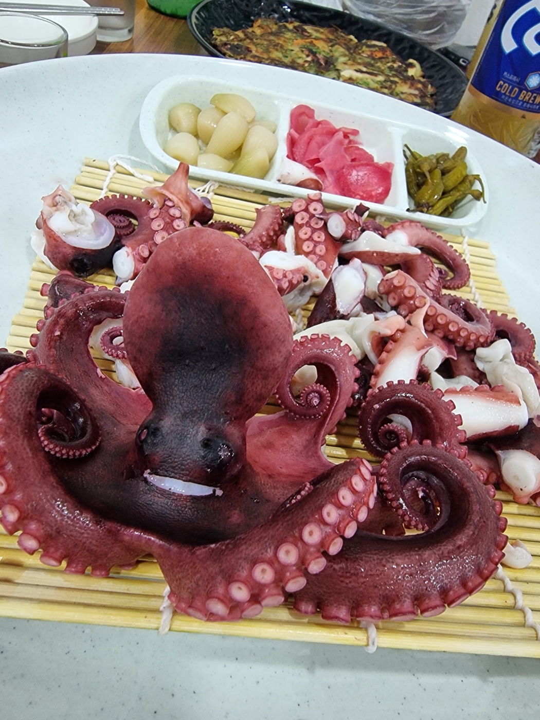 모디 4