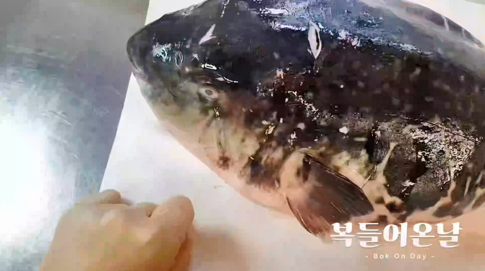 복들어온날 6