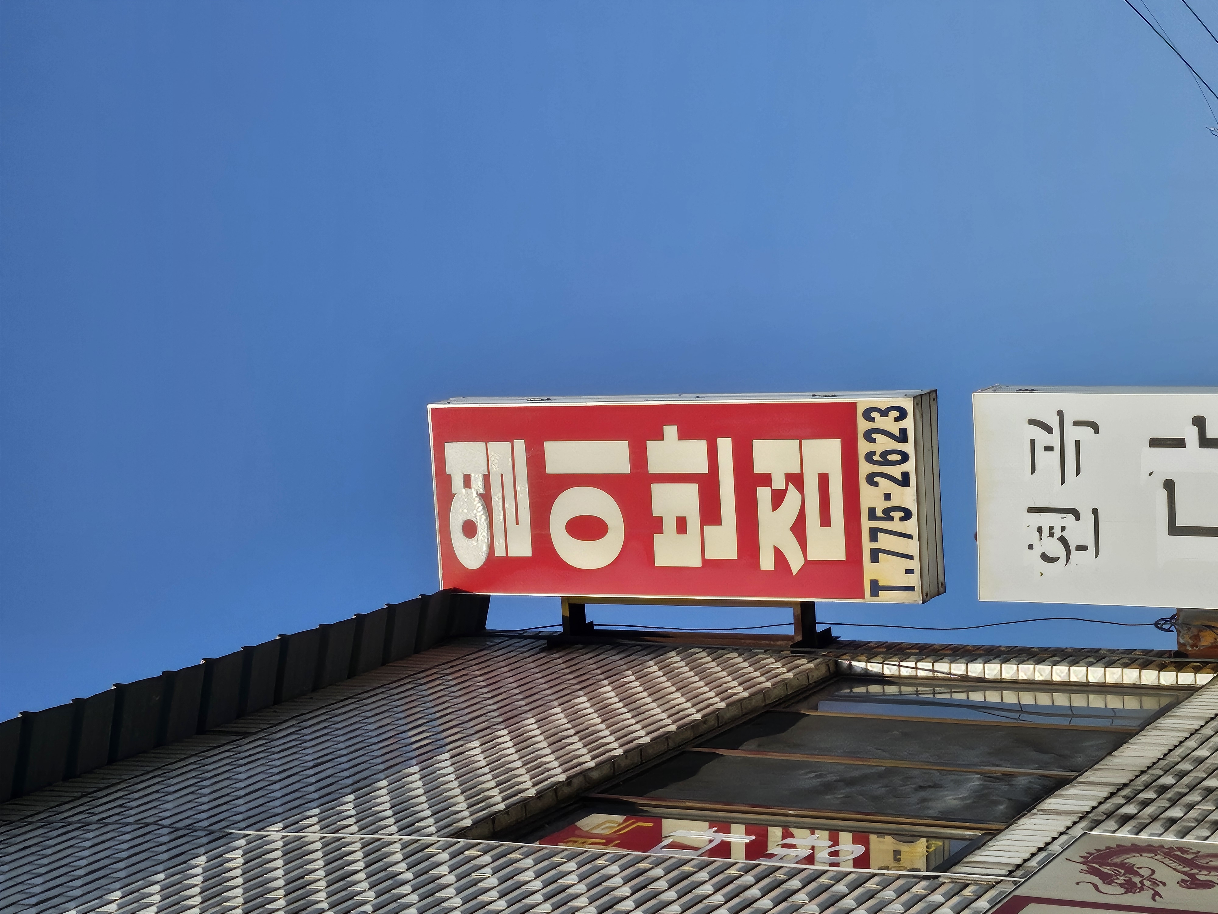 열이반점 사진