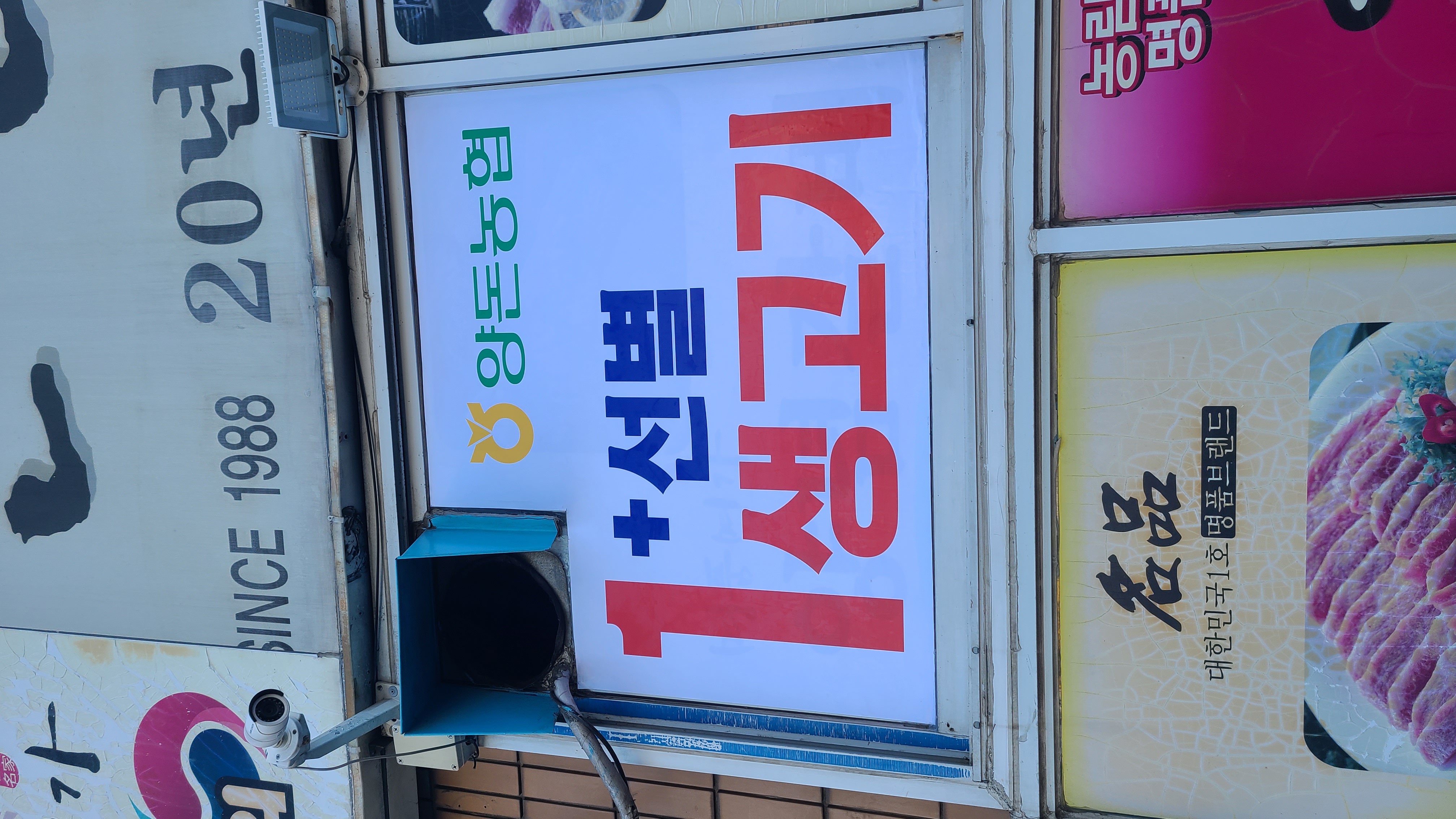 돈단지 사진 4