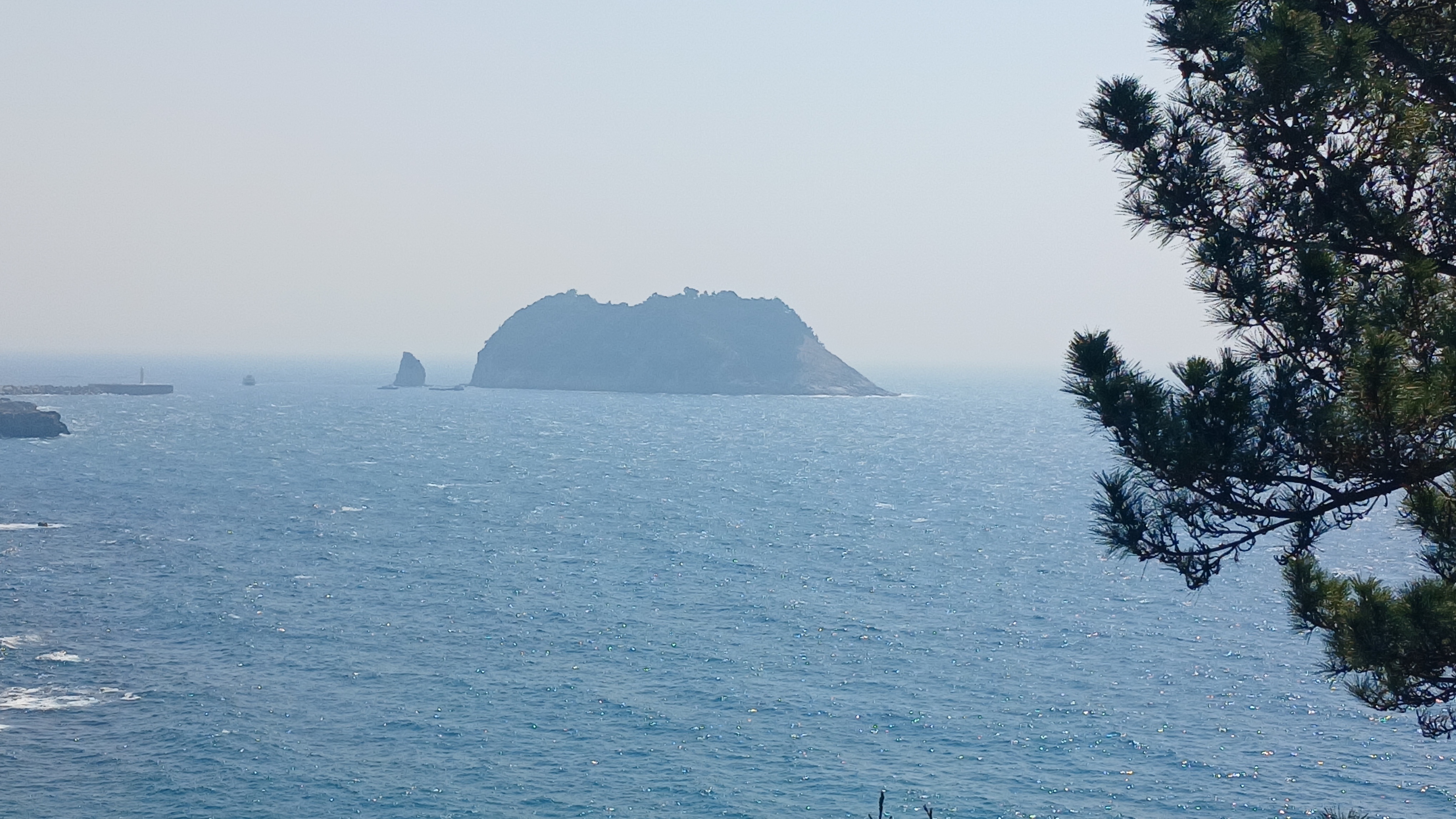 돈사돈 서귀포점 사진 5