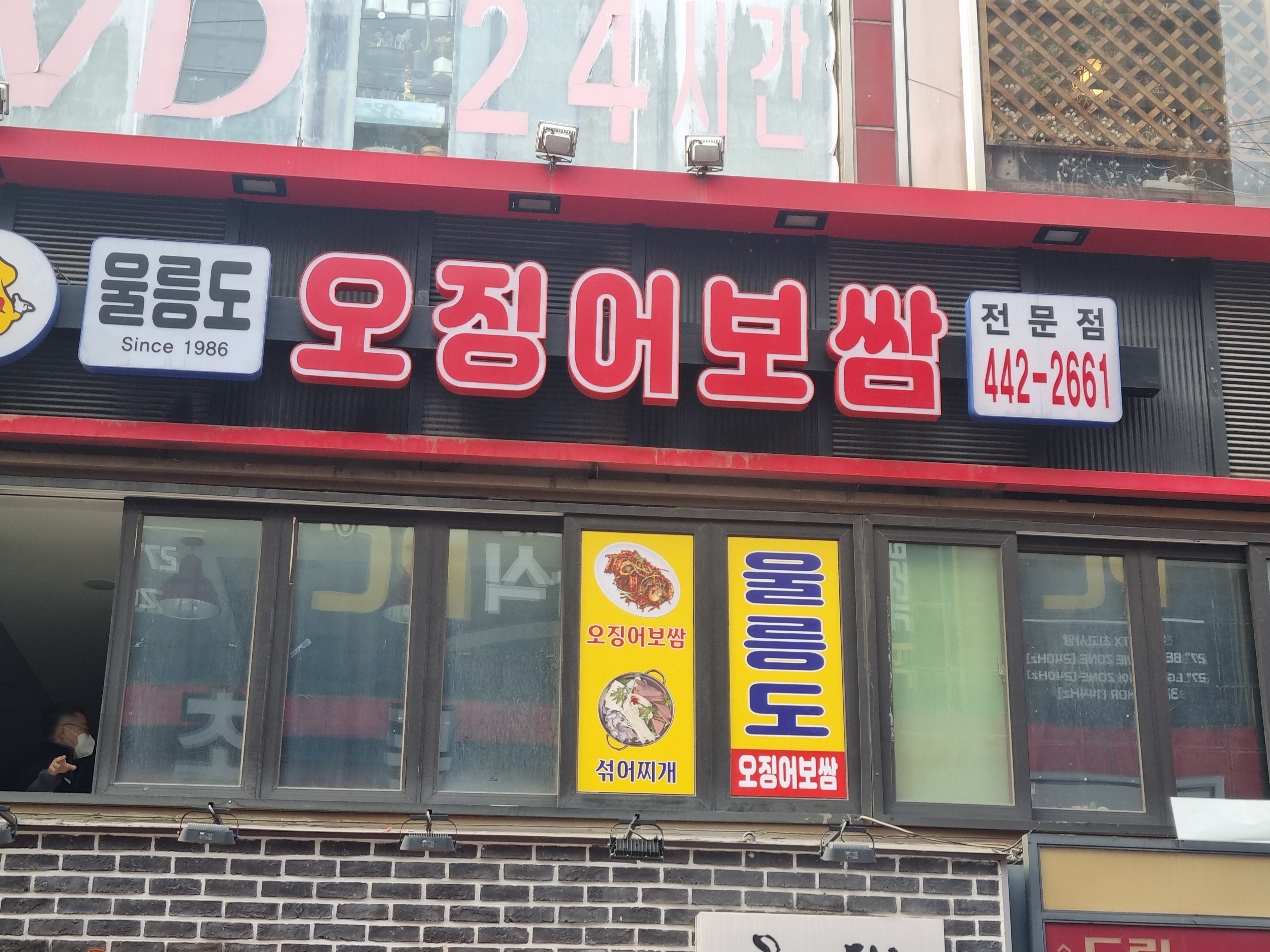 울릉도 오징어 보쌈 사진
