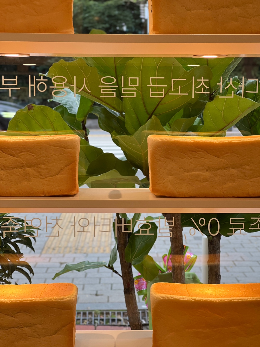 화이트리에 압구정점 사진 7