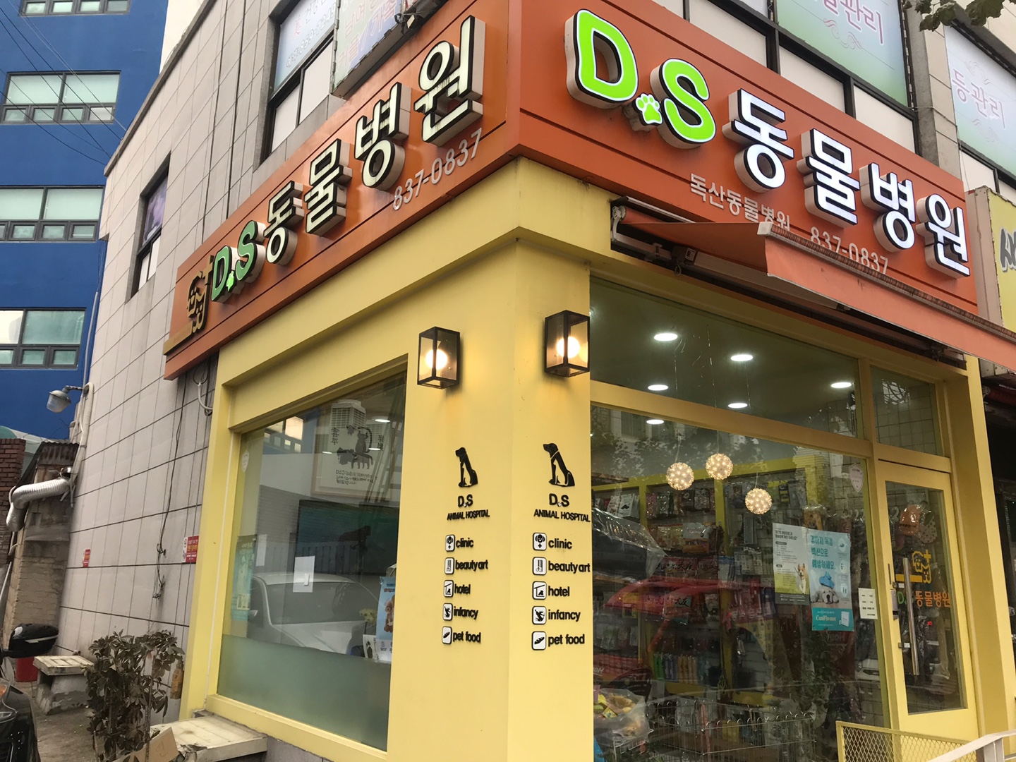 DS동물병원