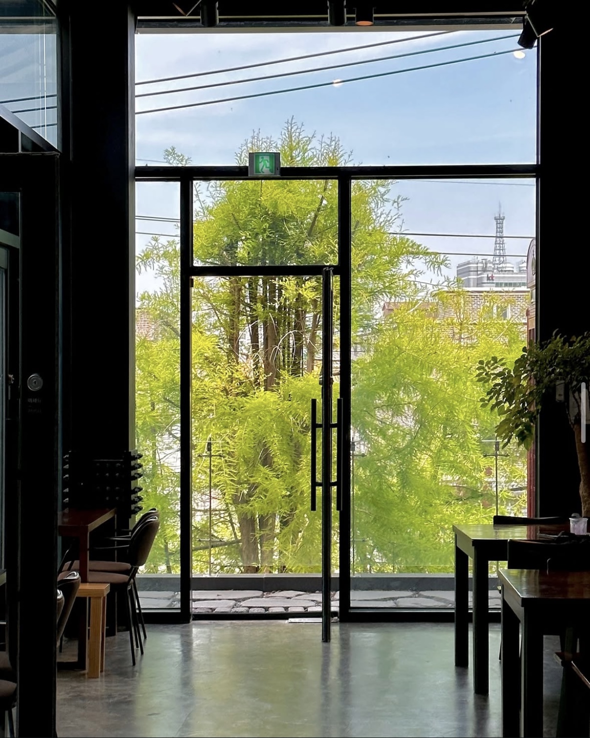 카페치엘로