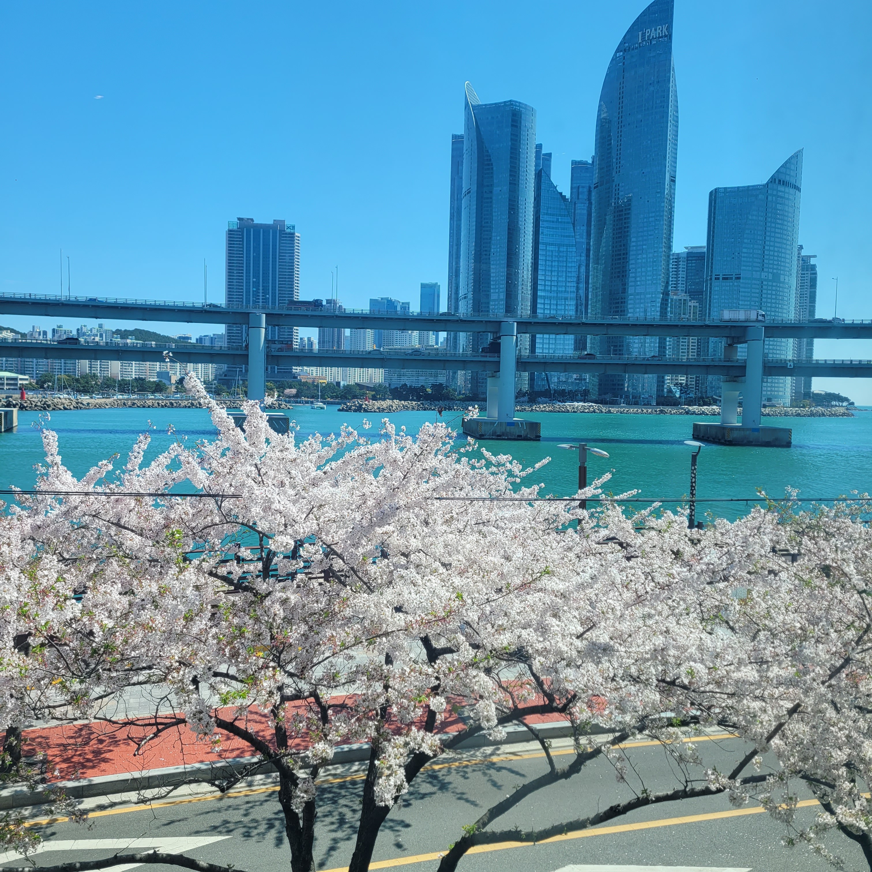 화덕으로간고등어 광안리수변공원점 사진 3