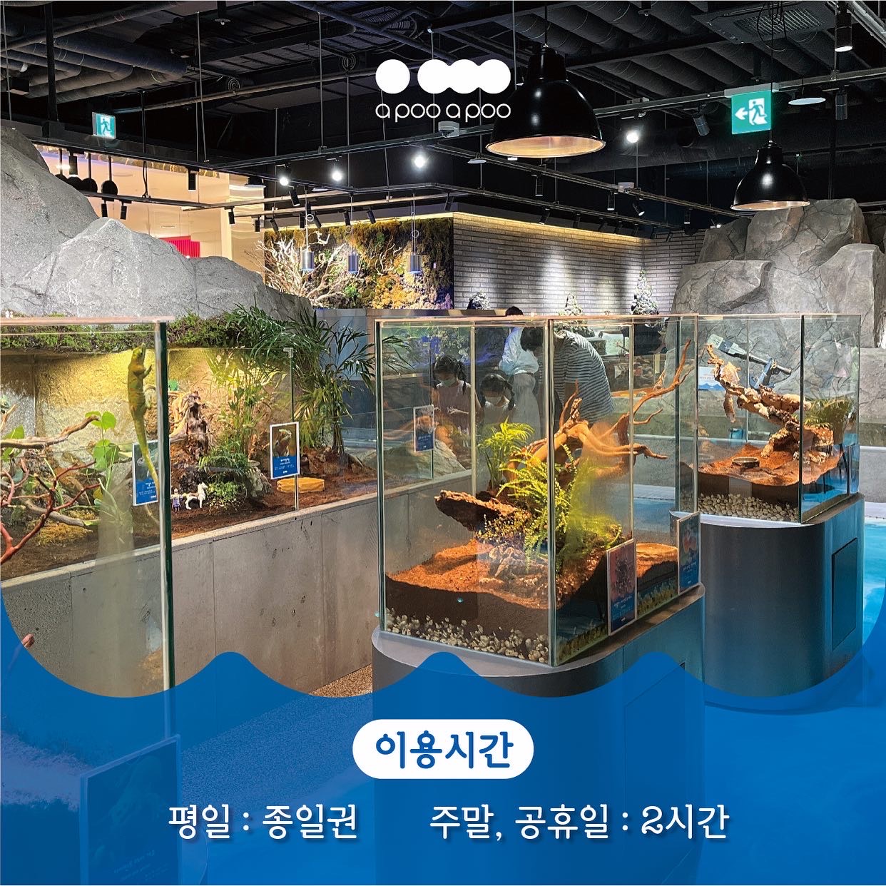 어푸어푸 수원판타지움점 사진 7