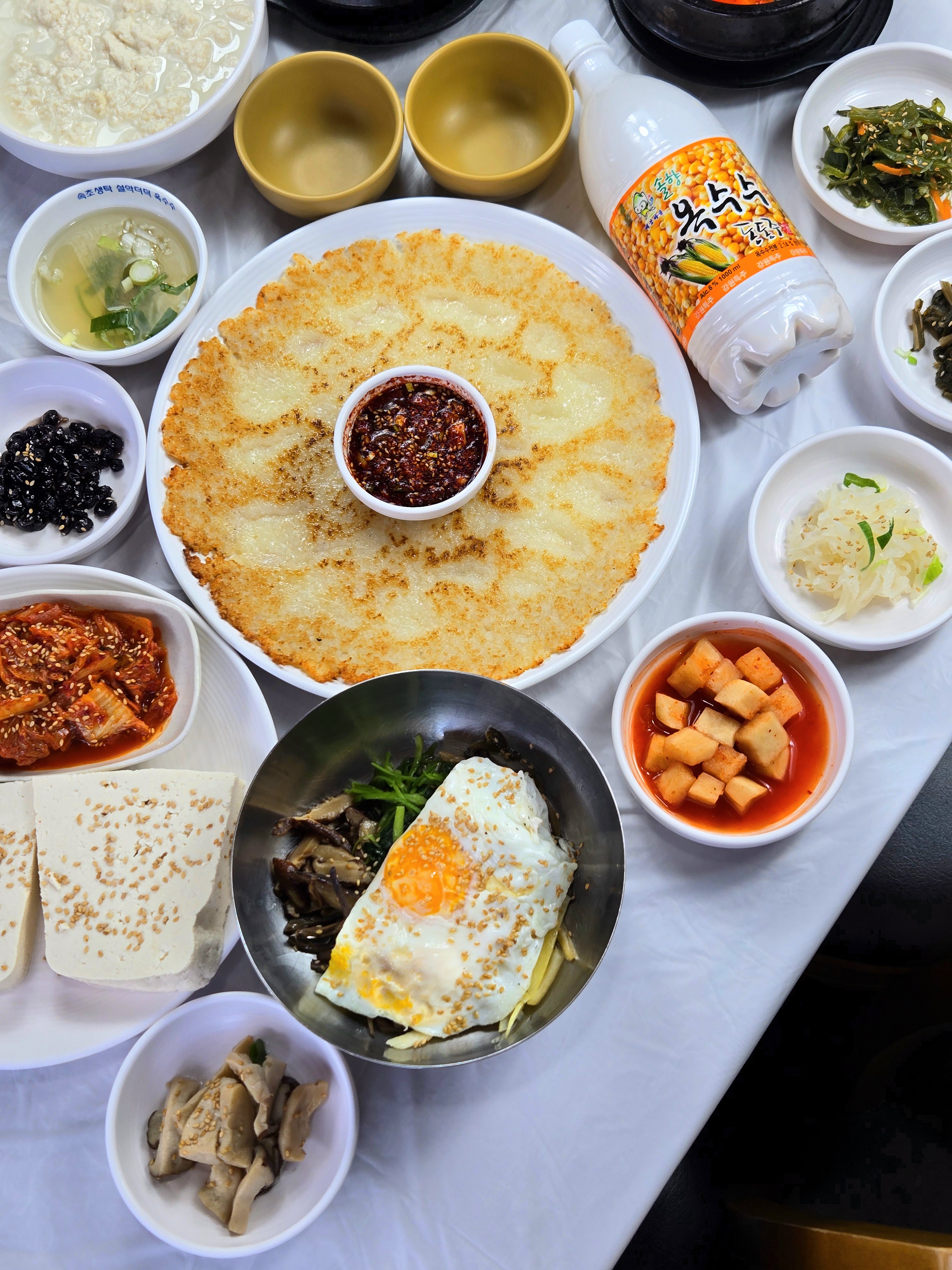 콩담 6