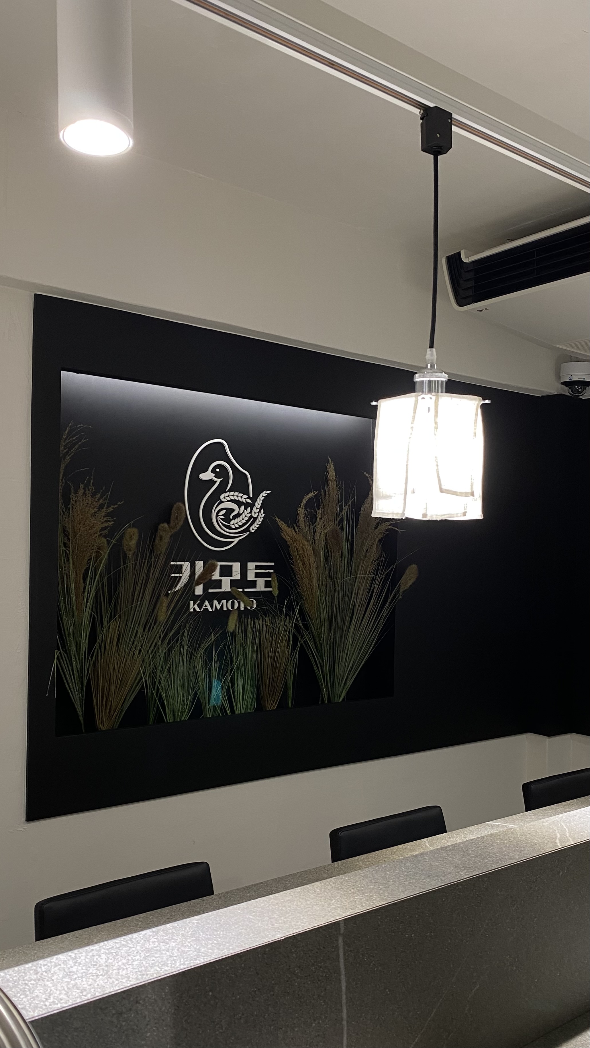 카모토 사진 7