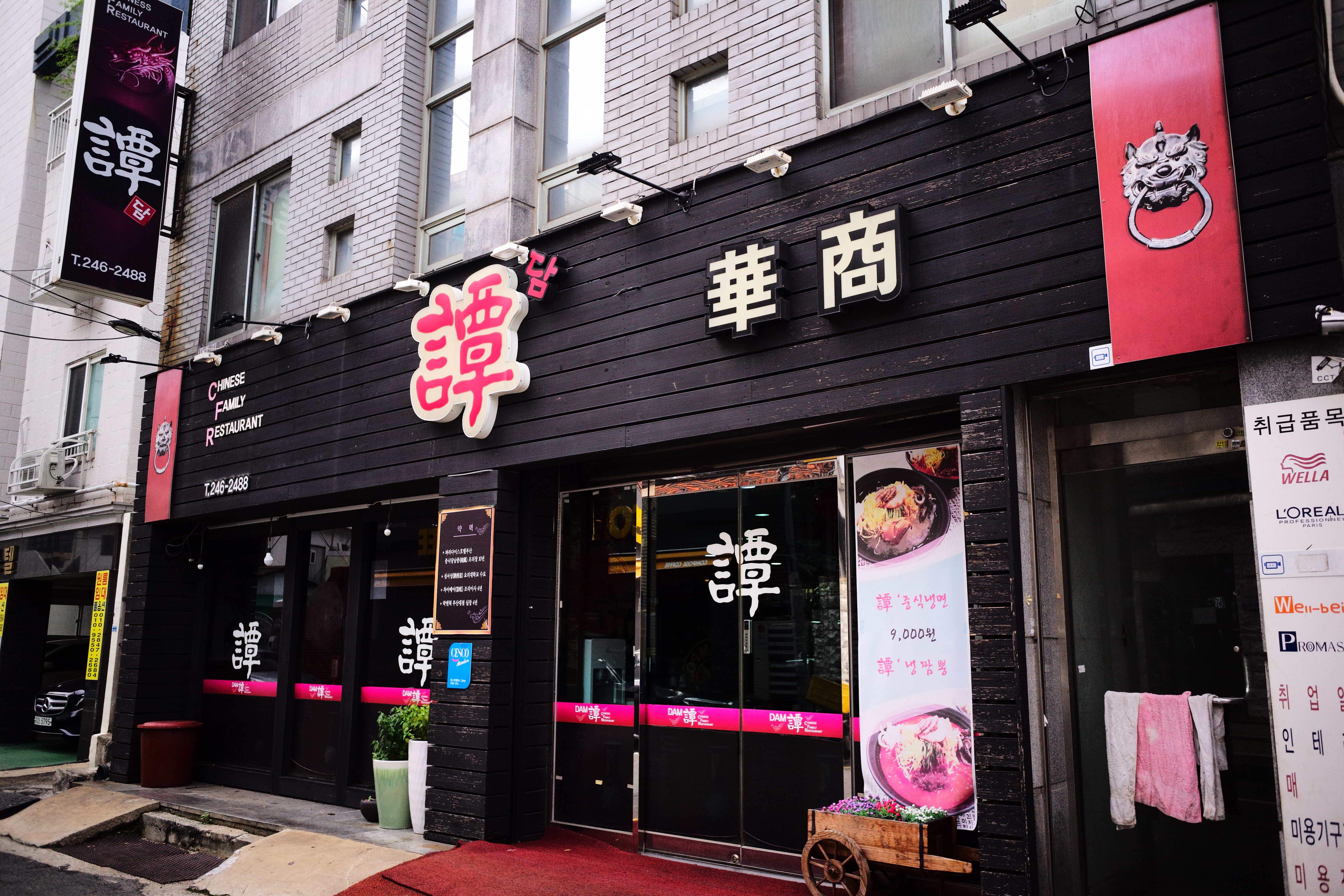 담 사진 7
