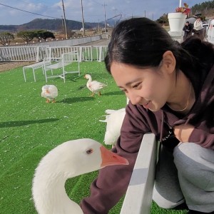 Hampyeongnabikape (함평나비카페) 3