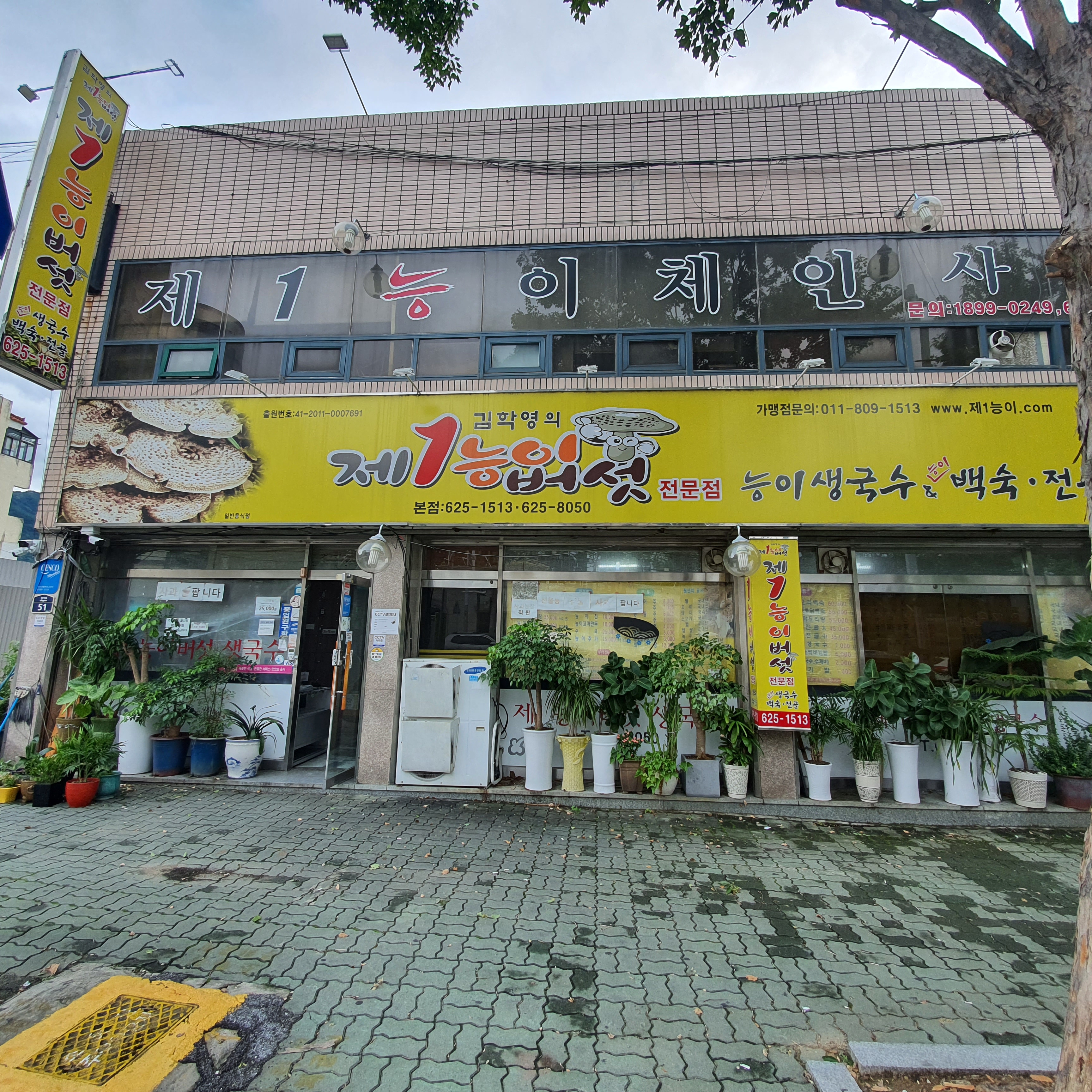 제1능이버섯생국수 1