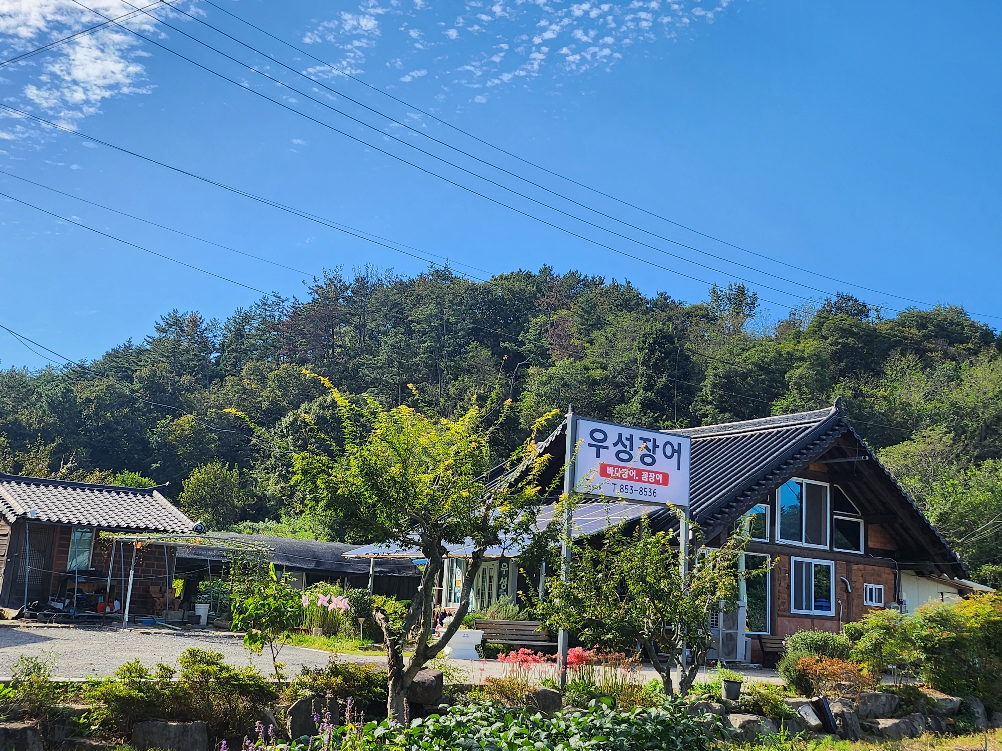 Useongjangeo (우성장어) 1