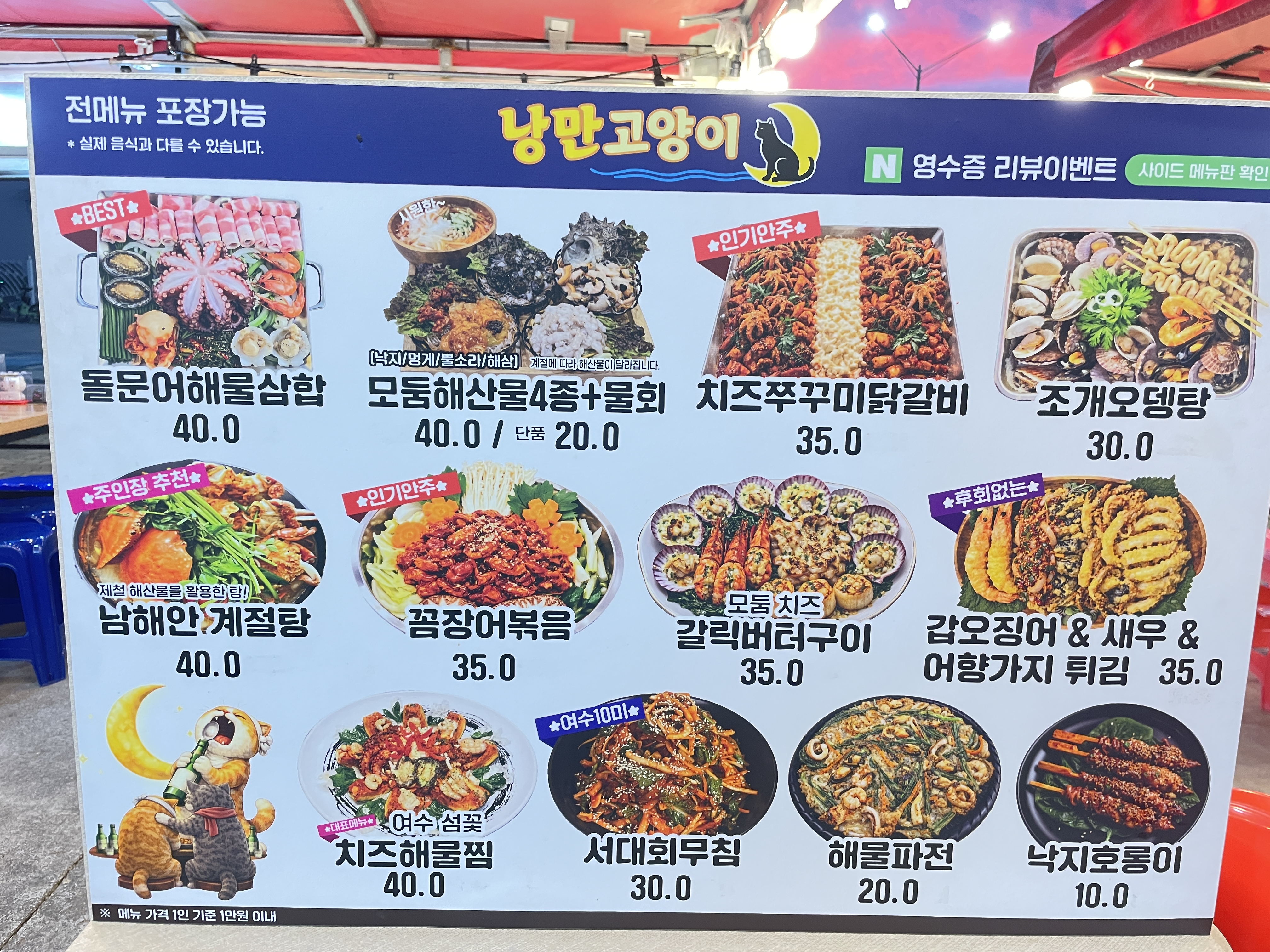 낭만고양이 사진 4