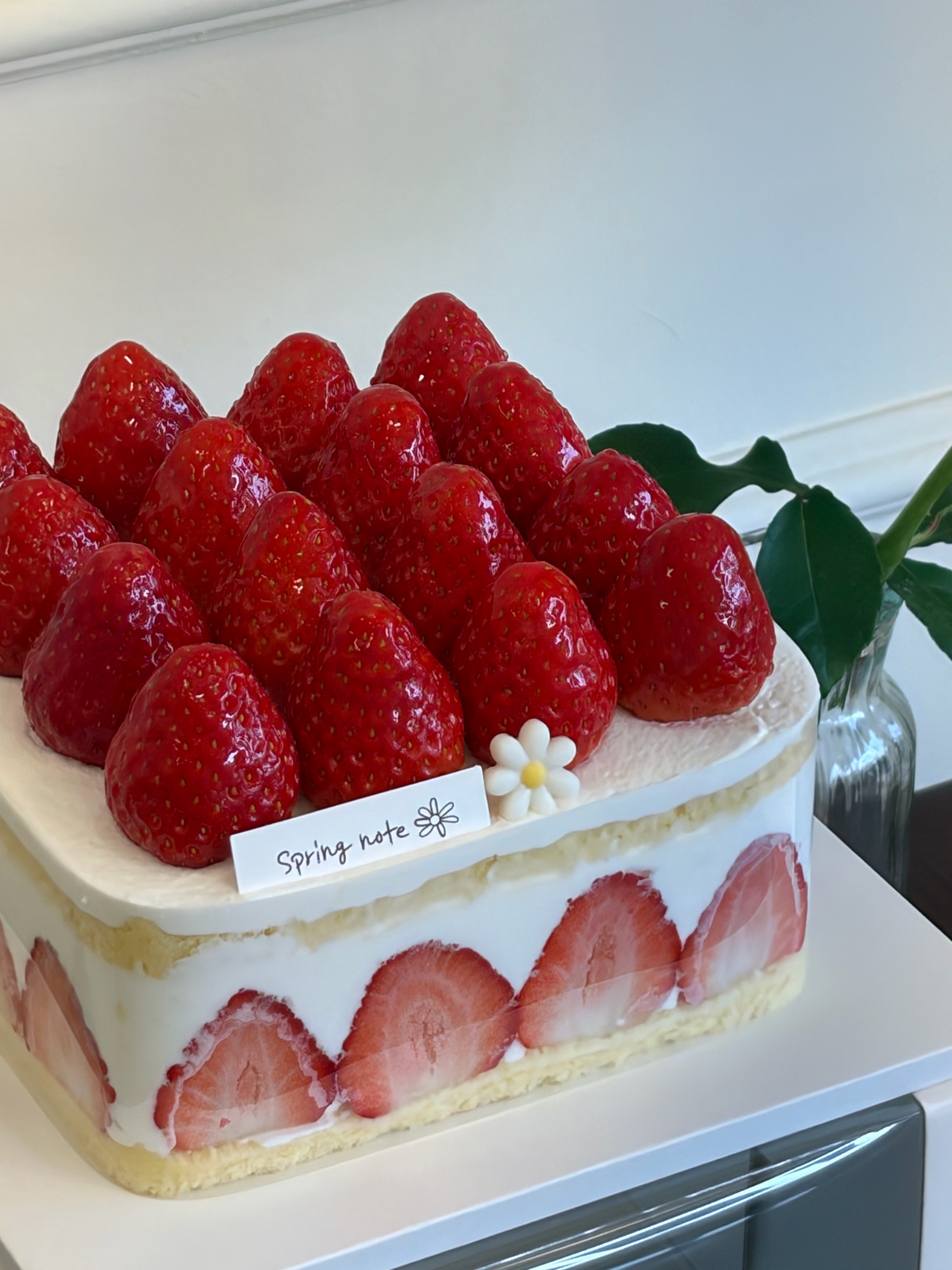 스프링노트 사진 3