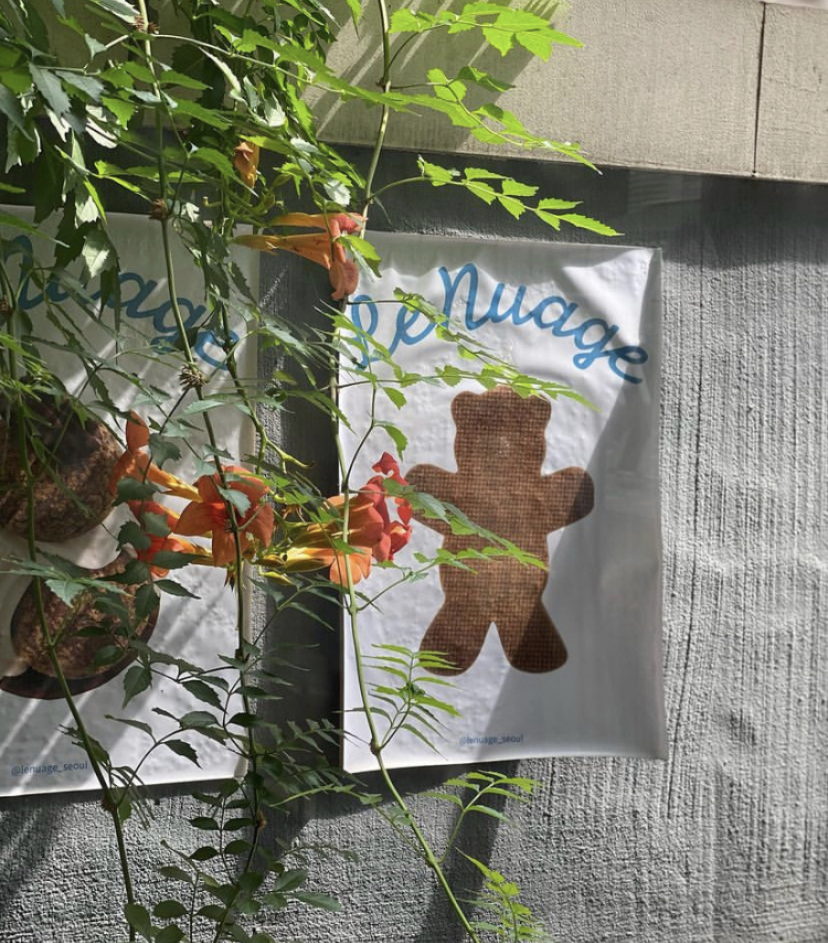 르누아즈 사진 5