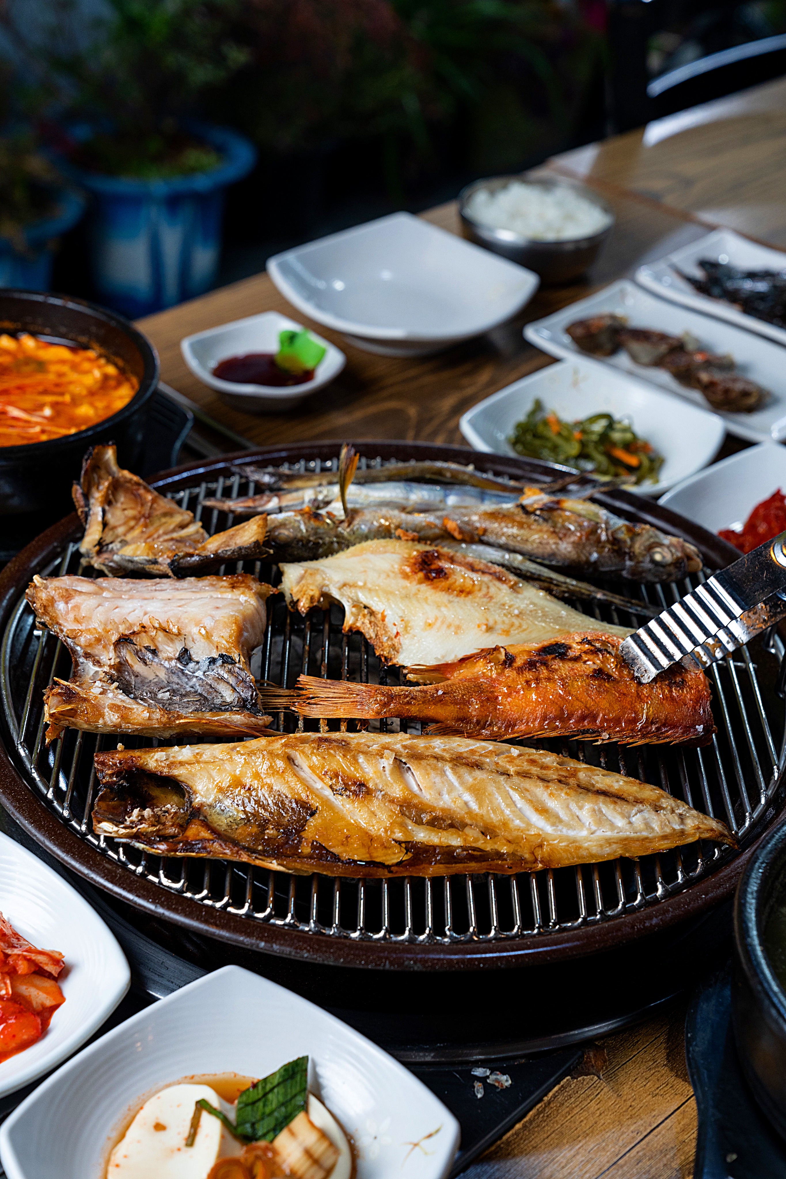 신피디통큰생선구이 3