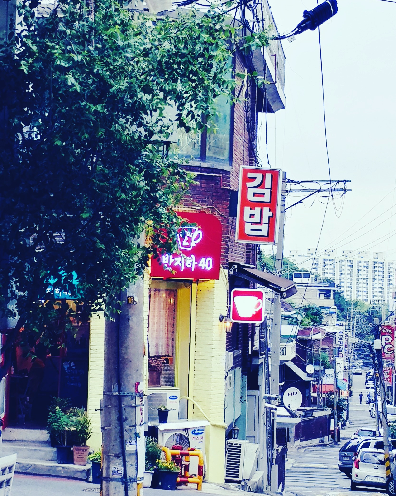 Banjiha40 (반지하40) 3