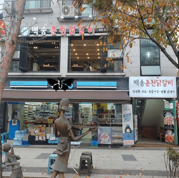 백송춘천닭갈비 5