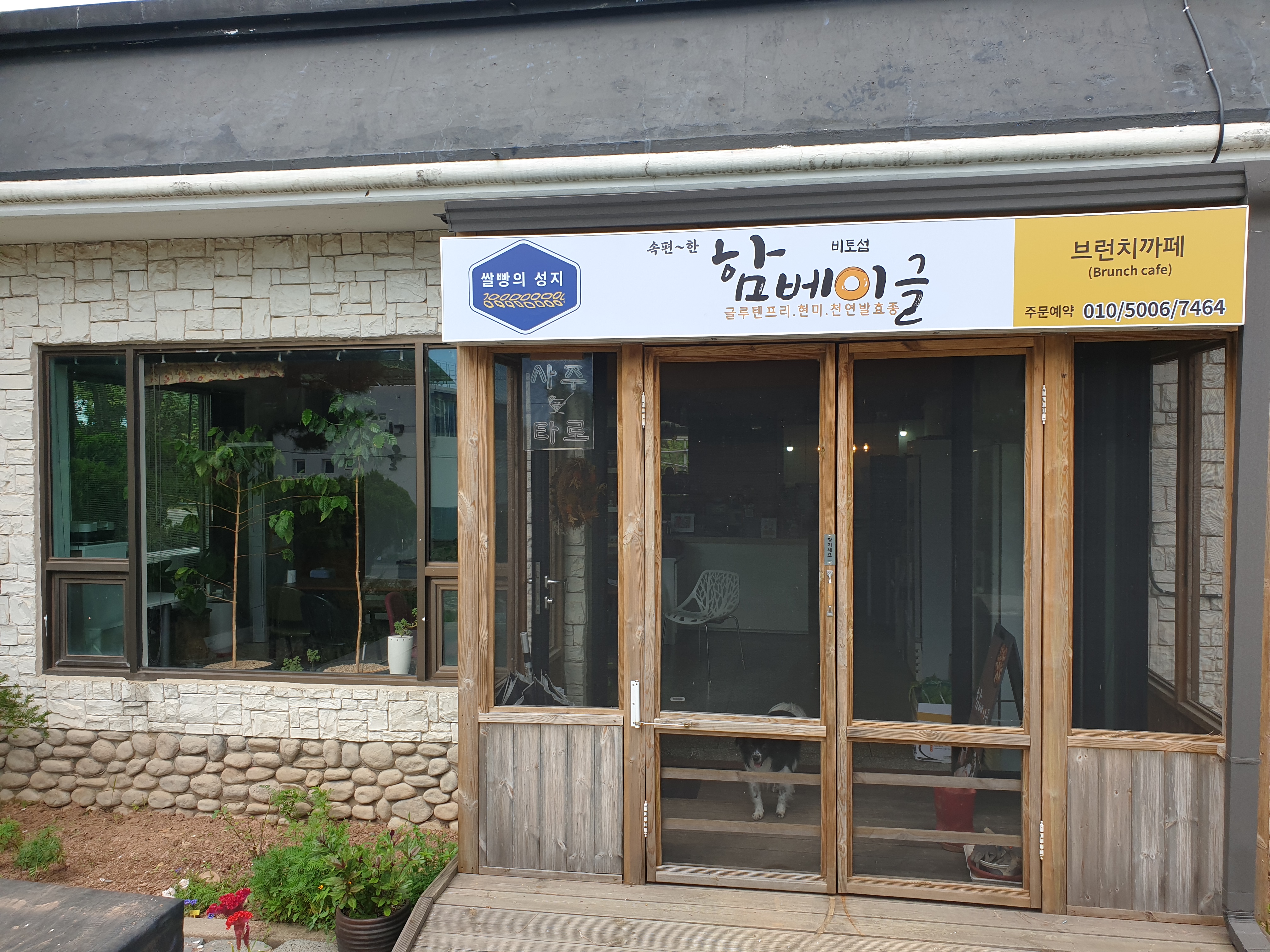 함베이글 사진 8