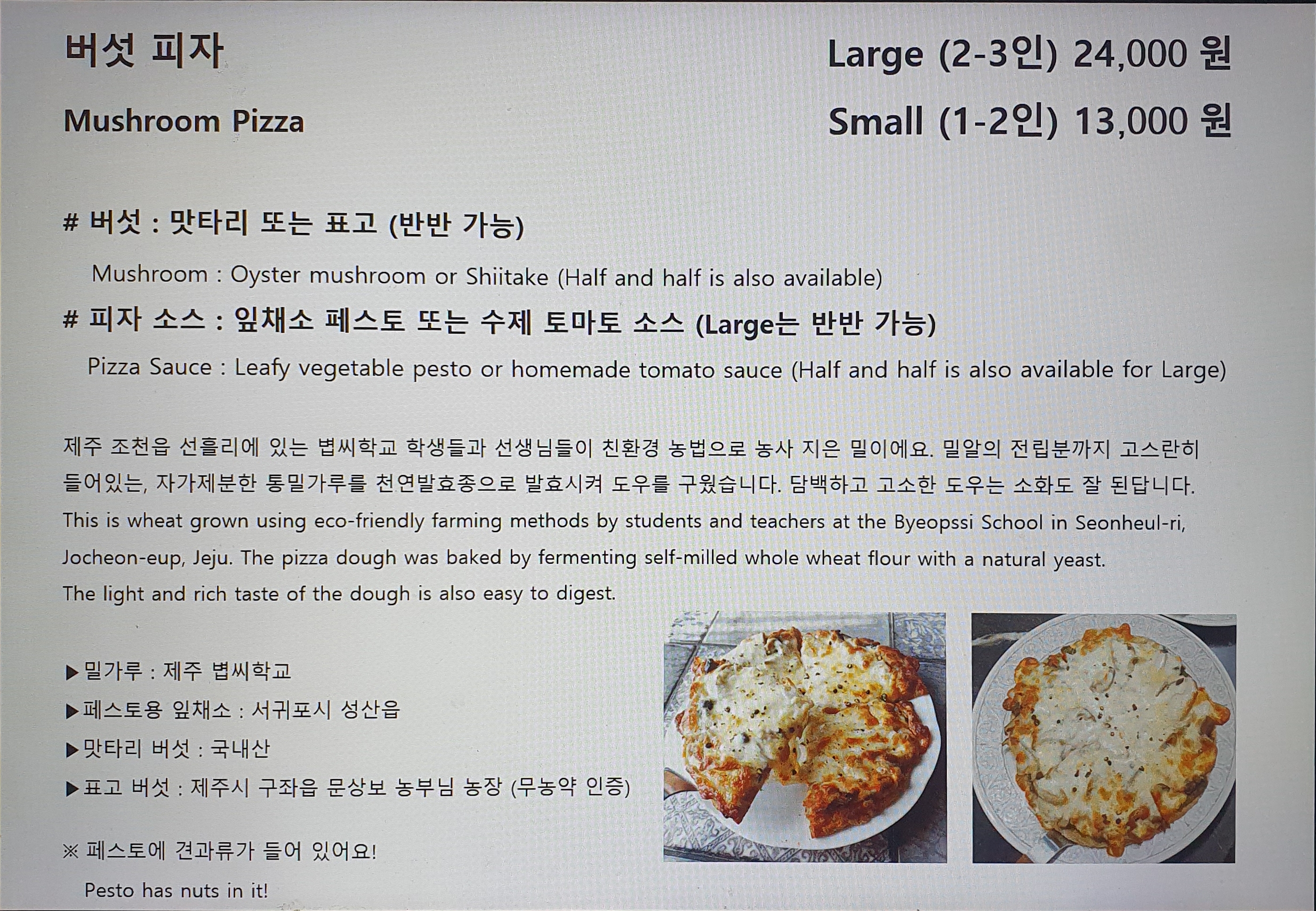 사이 제주 사진 6