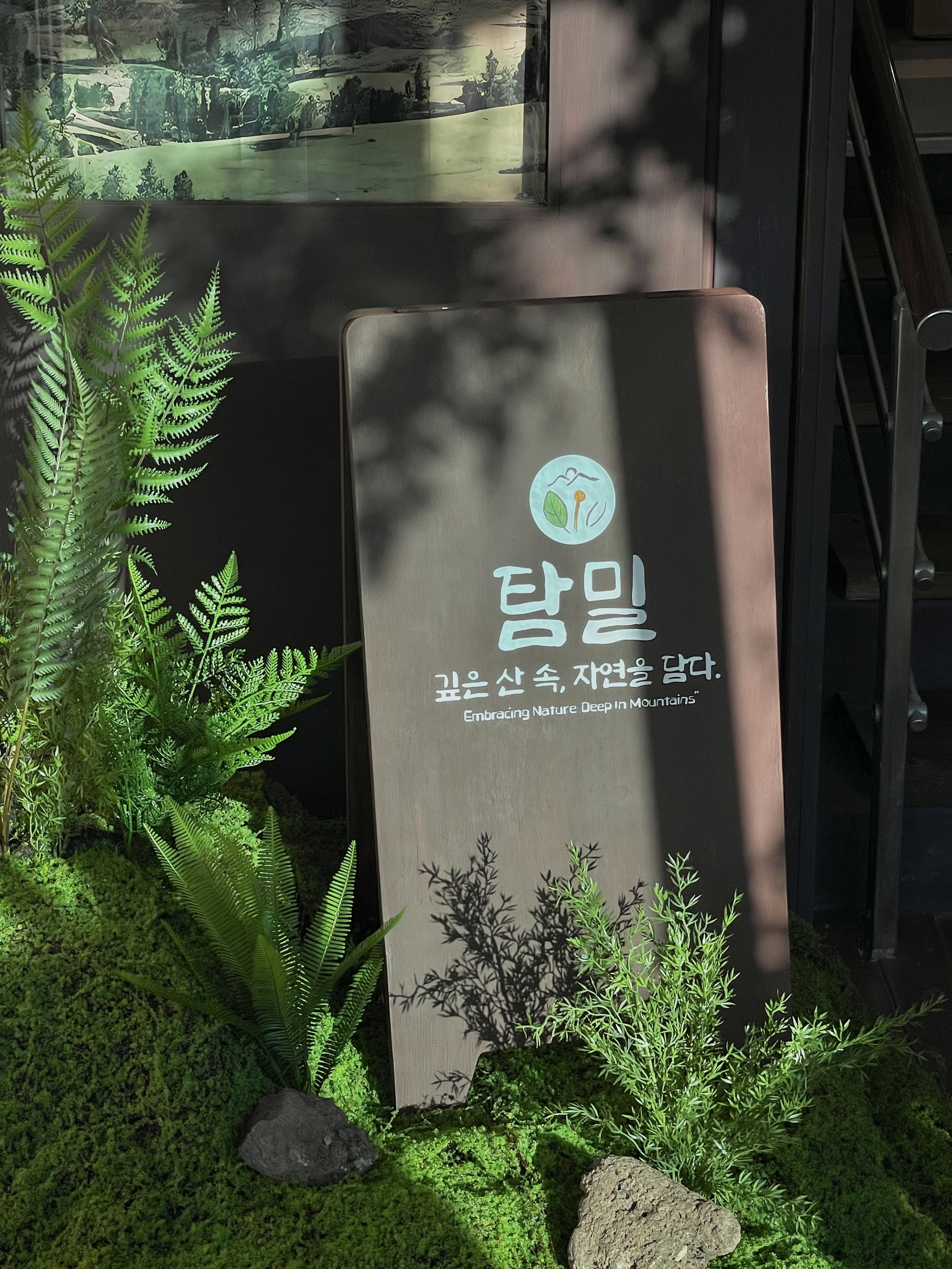 탐밀 5