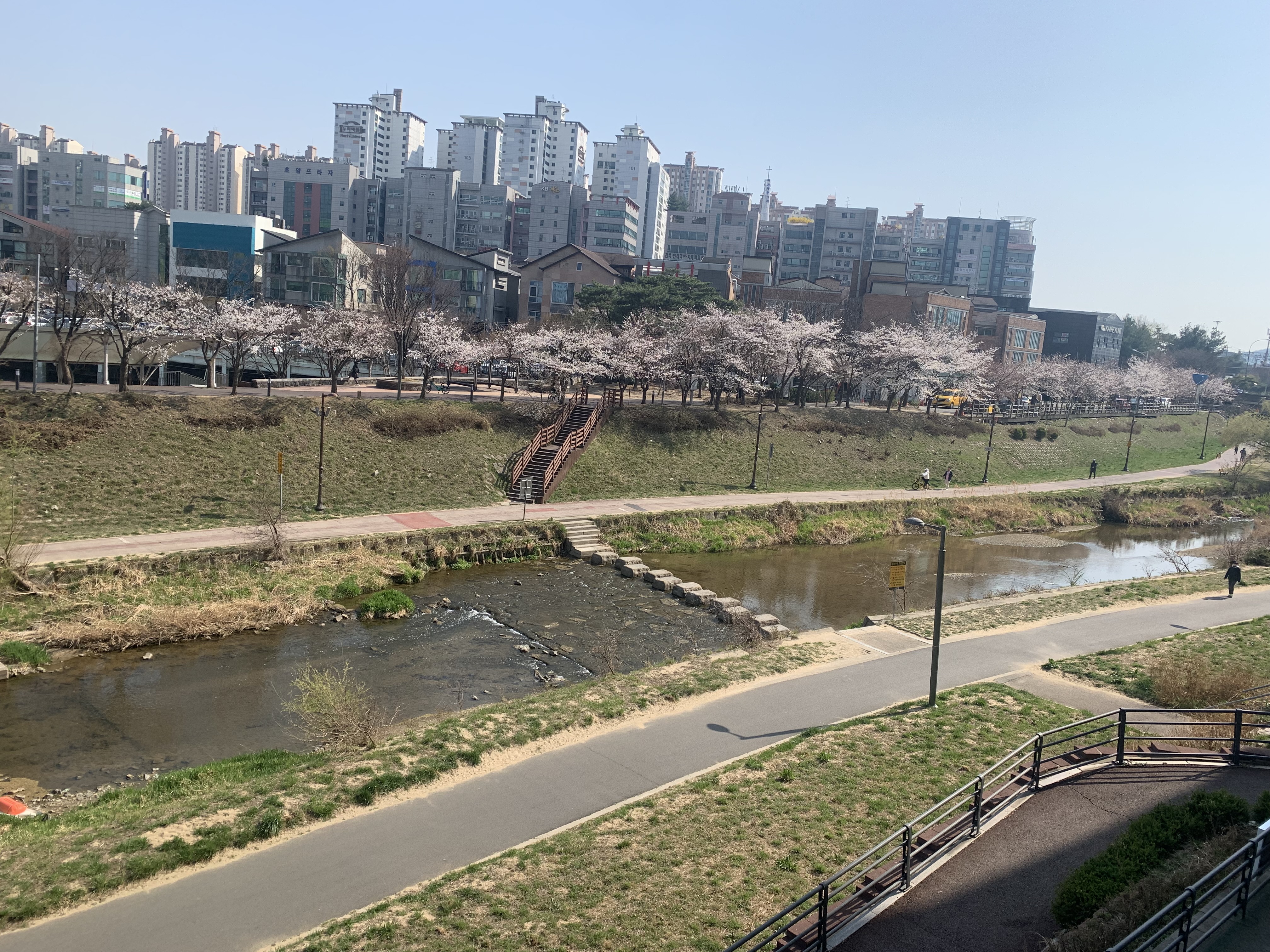 쏘렐라파스타 죽전점 대표 사진
