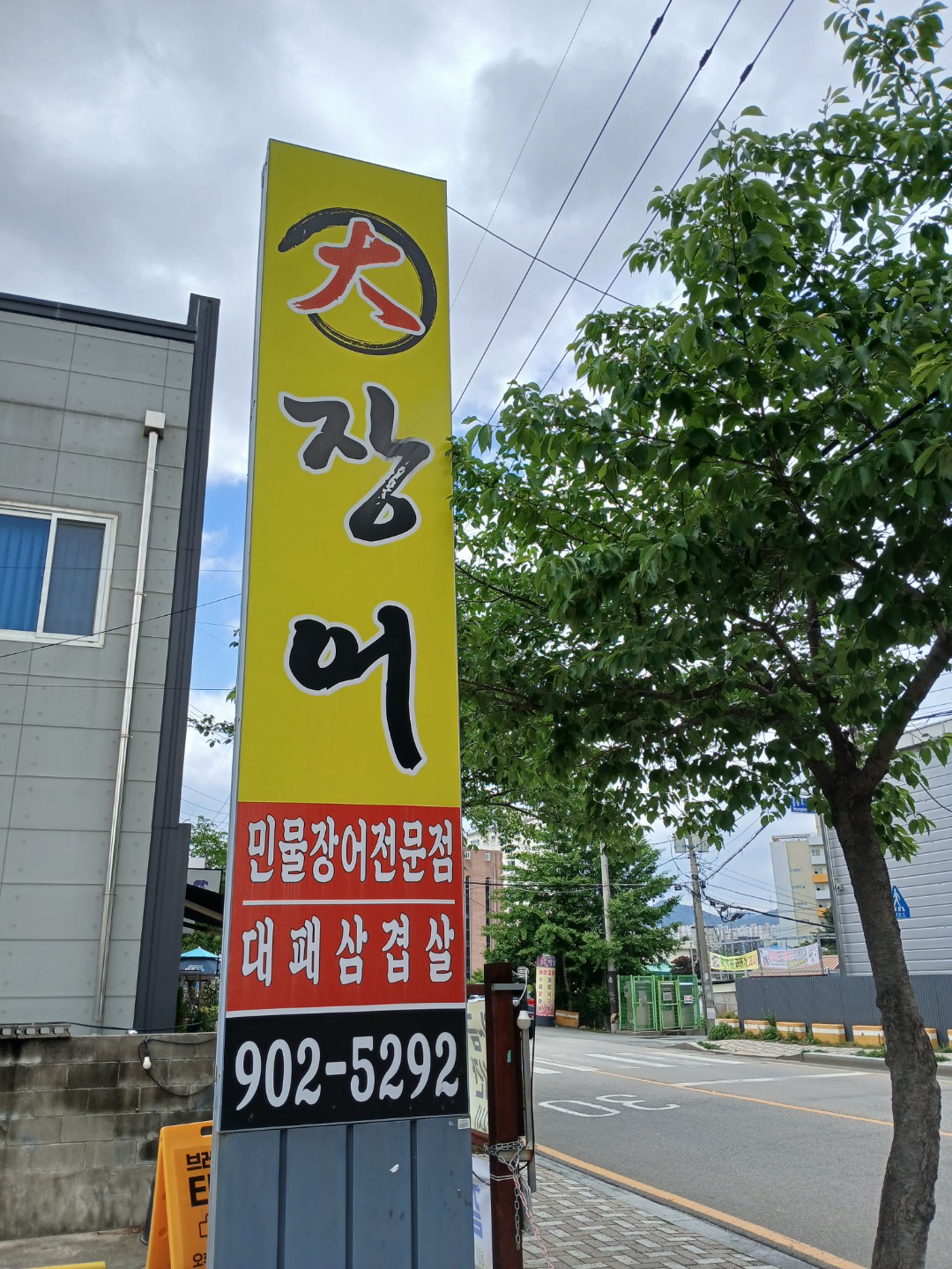 대장어 2
