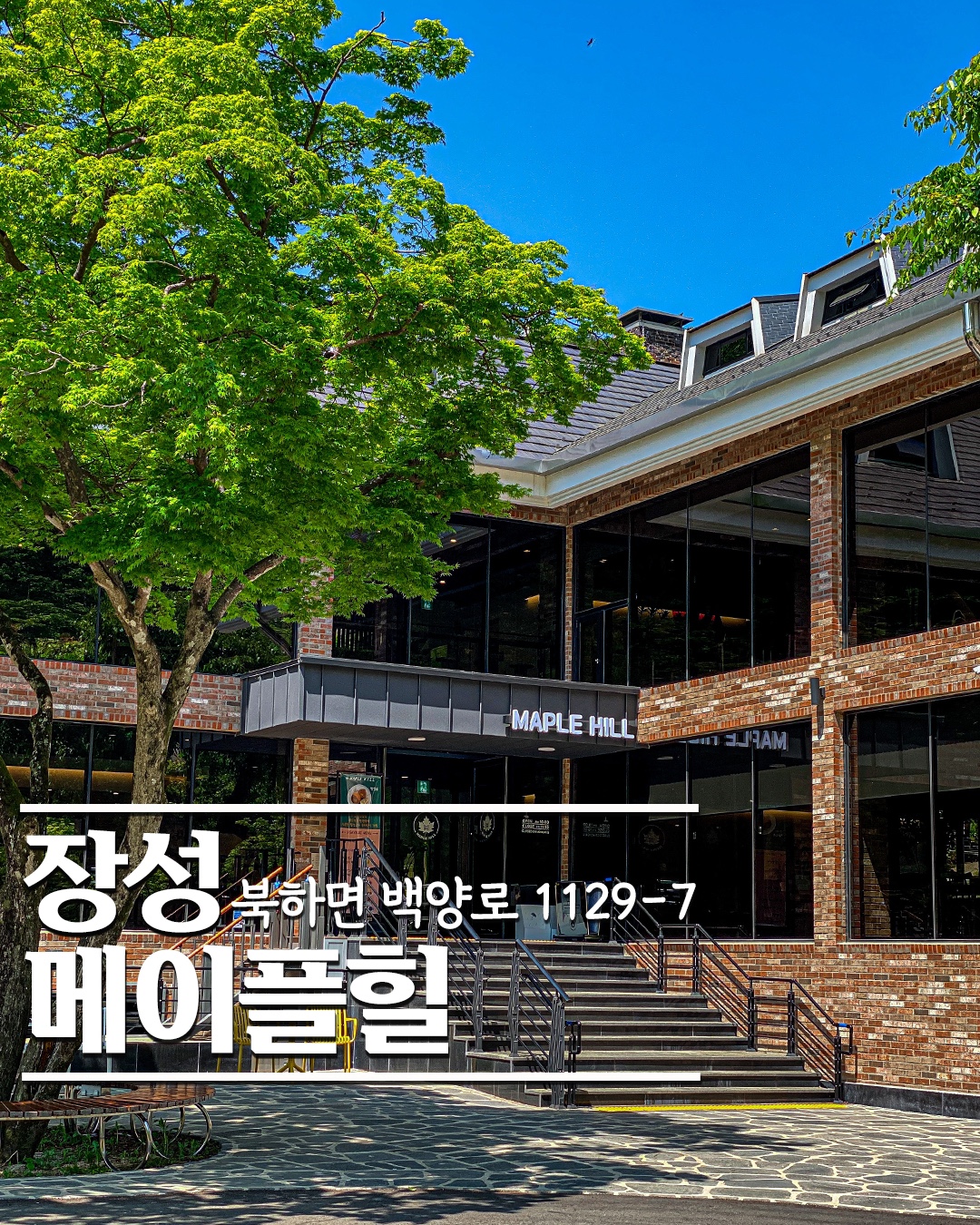 Meipeulhil (메이플힐) 2