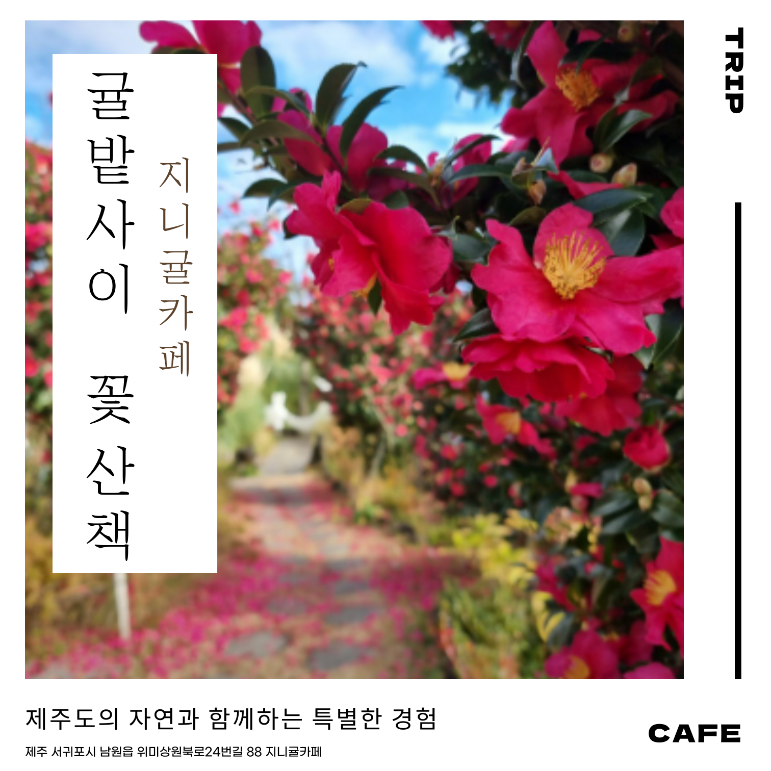지니귤카페