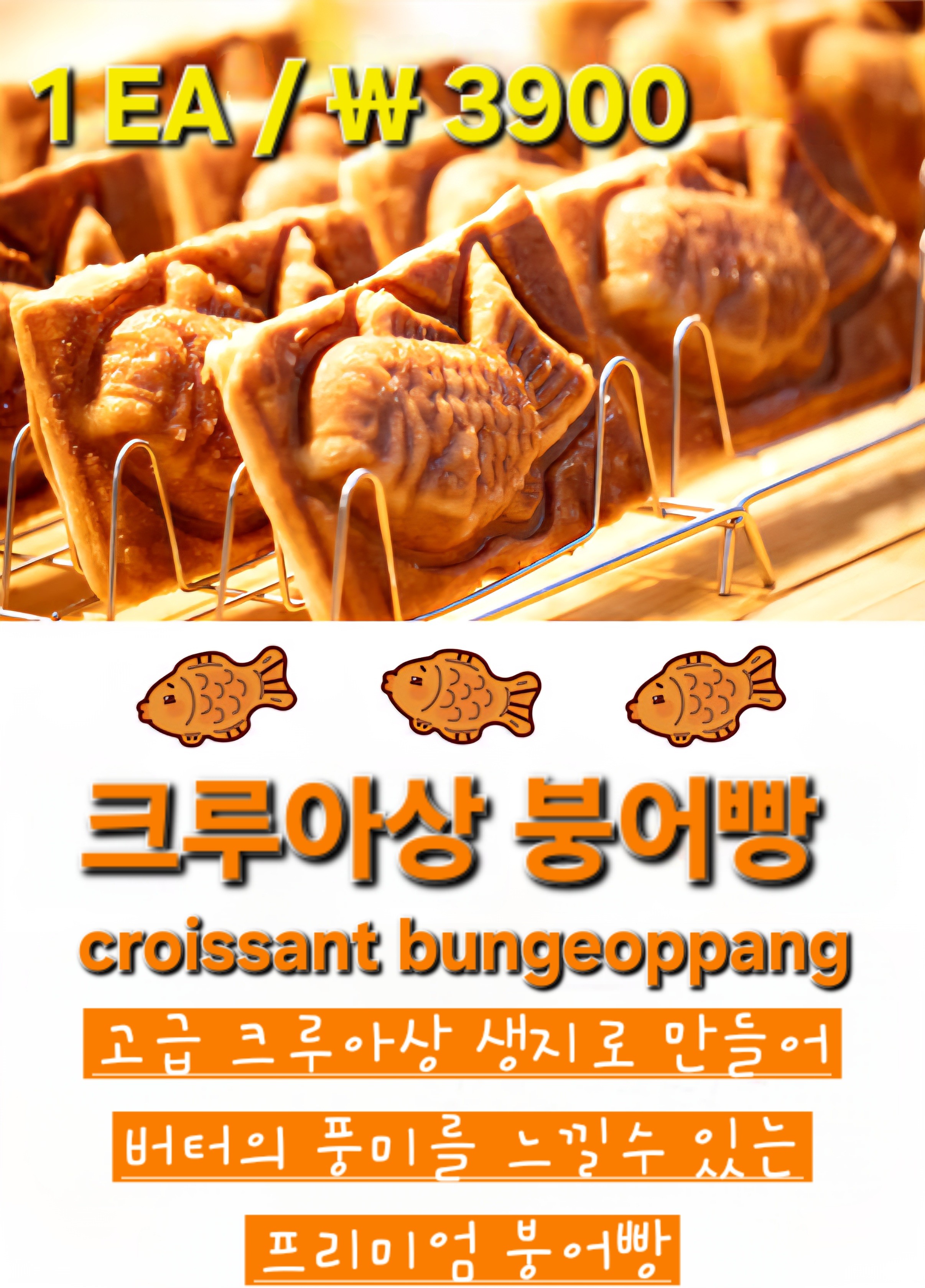 젤라송 사진 6