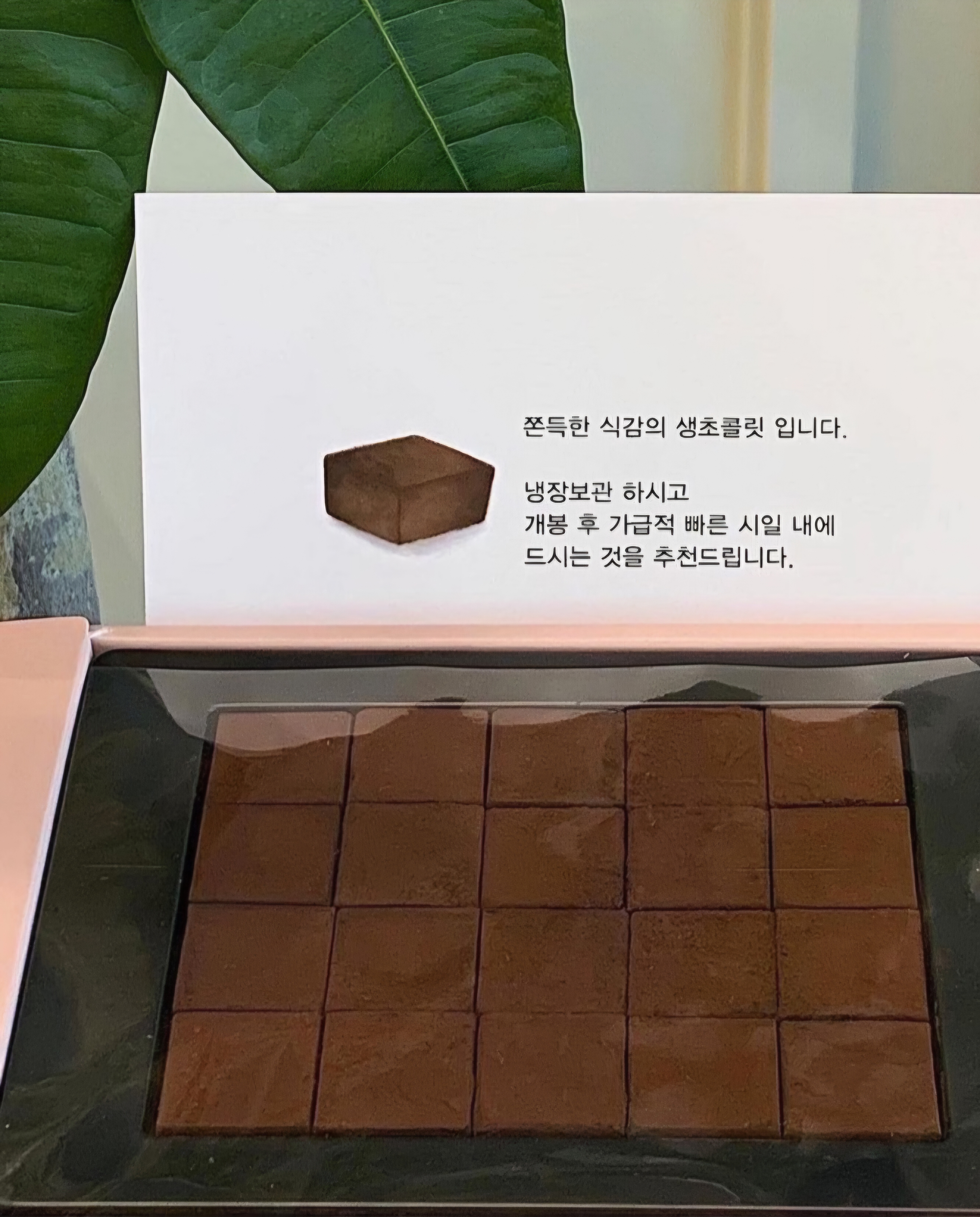 디핑 5
