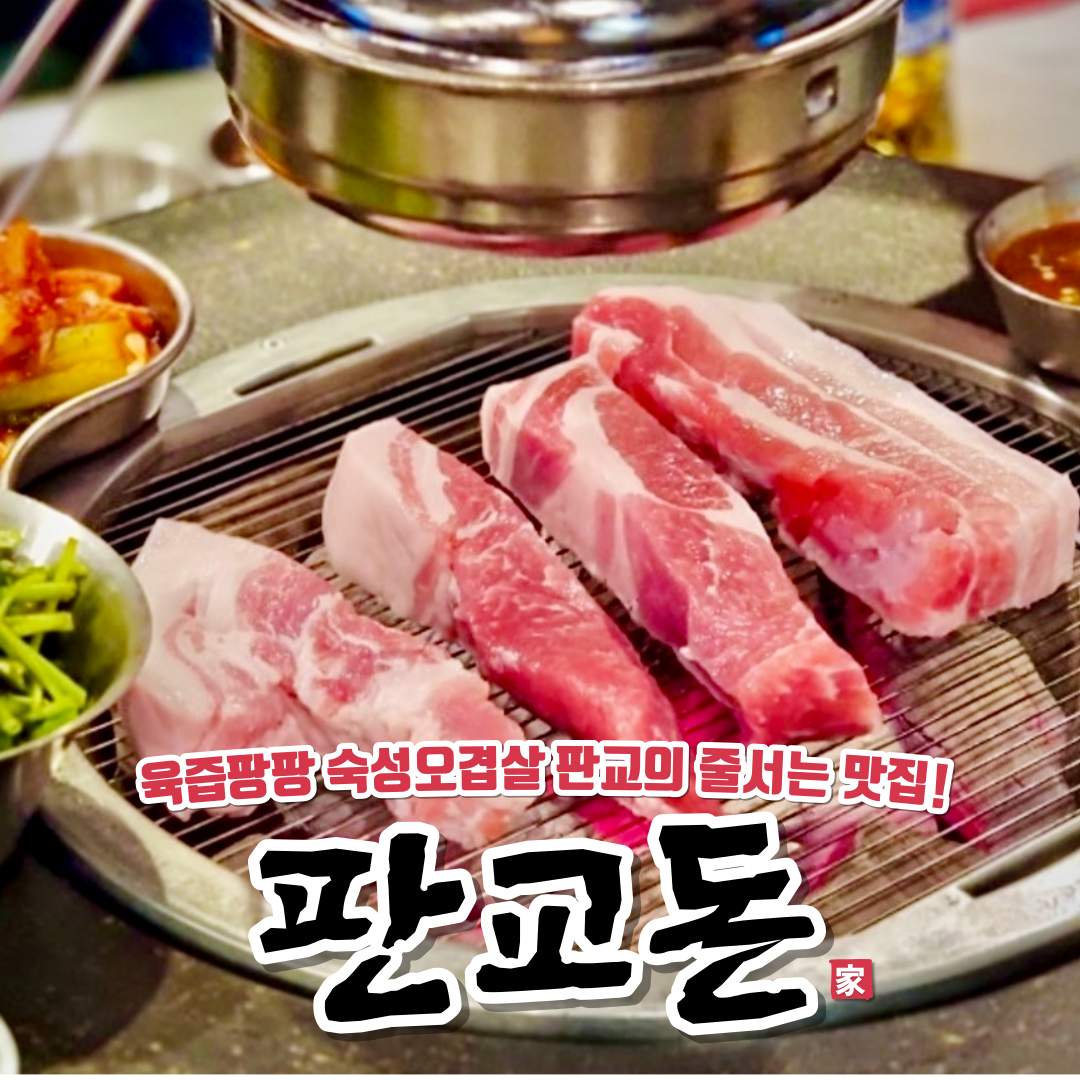 판교돈 사진 4