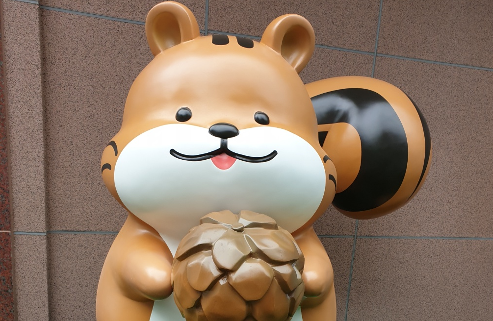 강릉앤솔 사진 3