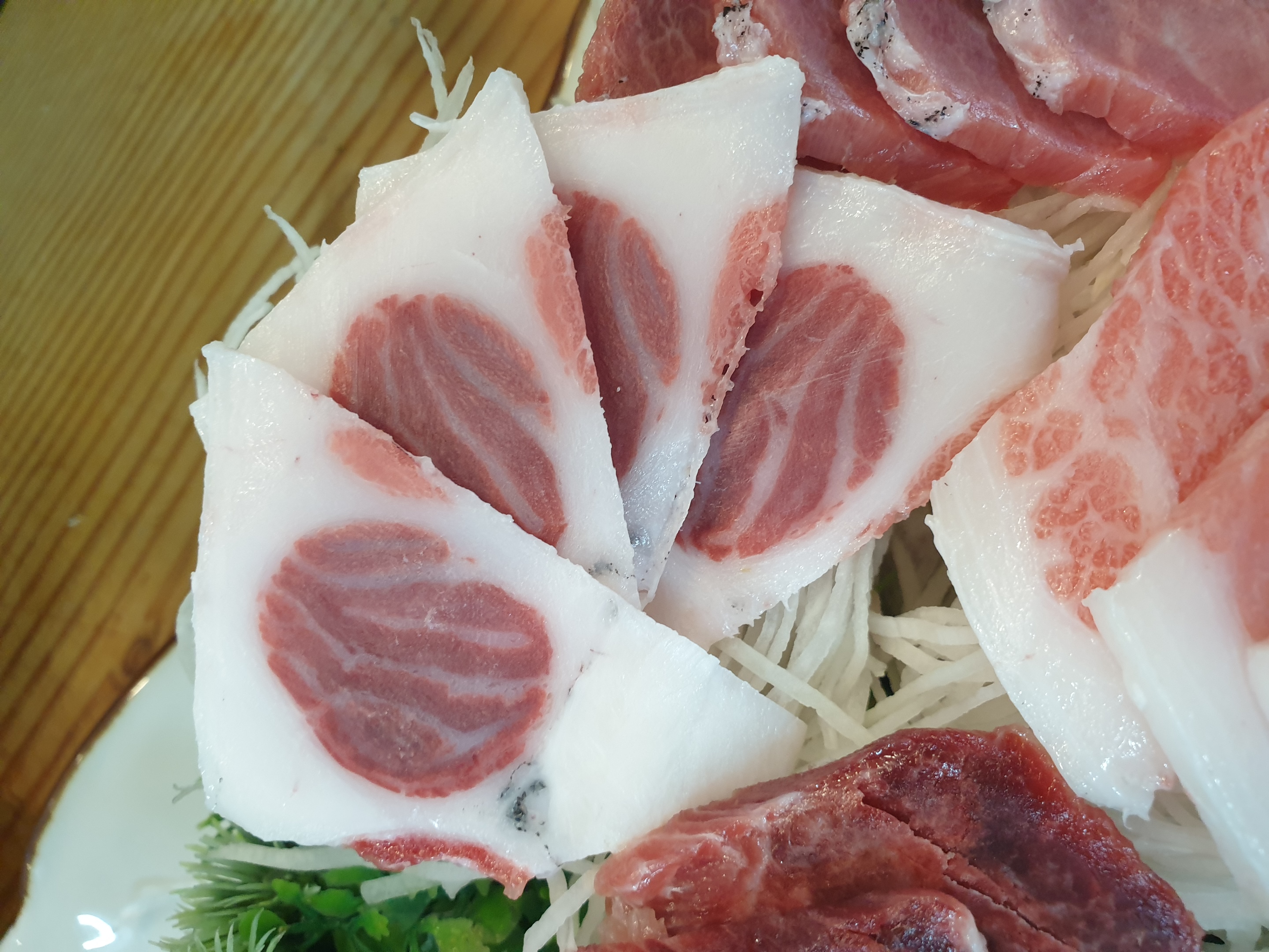 섭지향 사진 3
