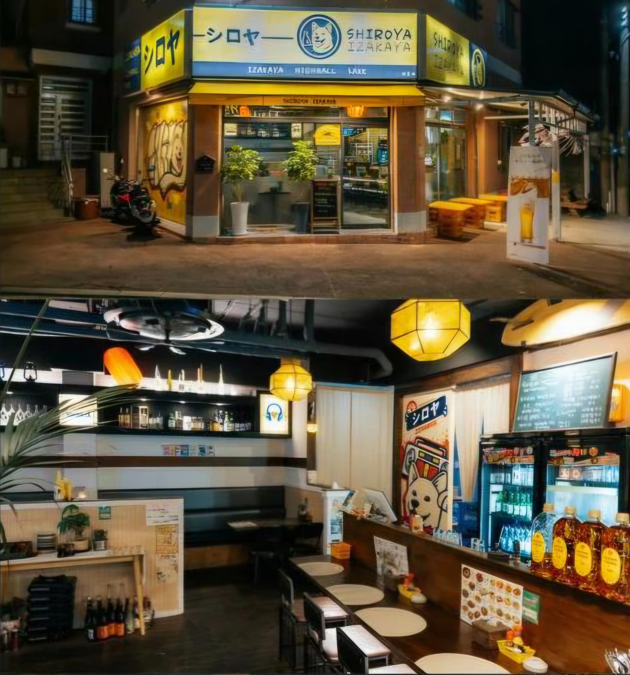 시로야 사진 5