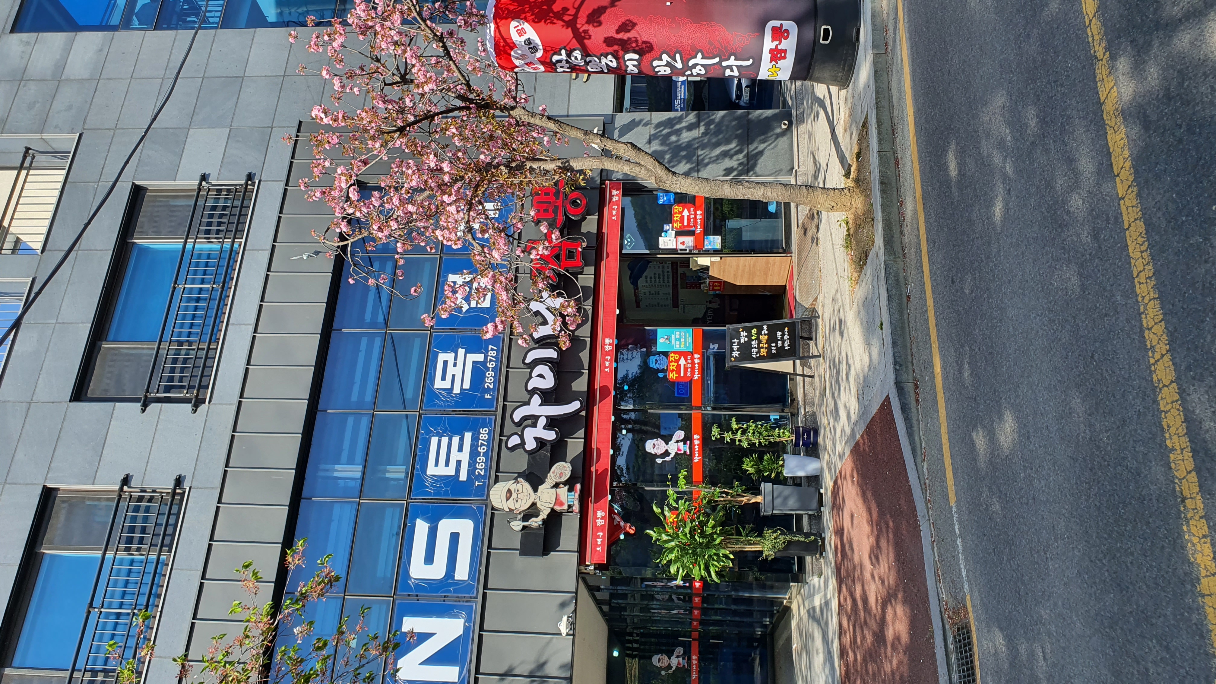 차이나짬뽕 사진