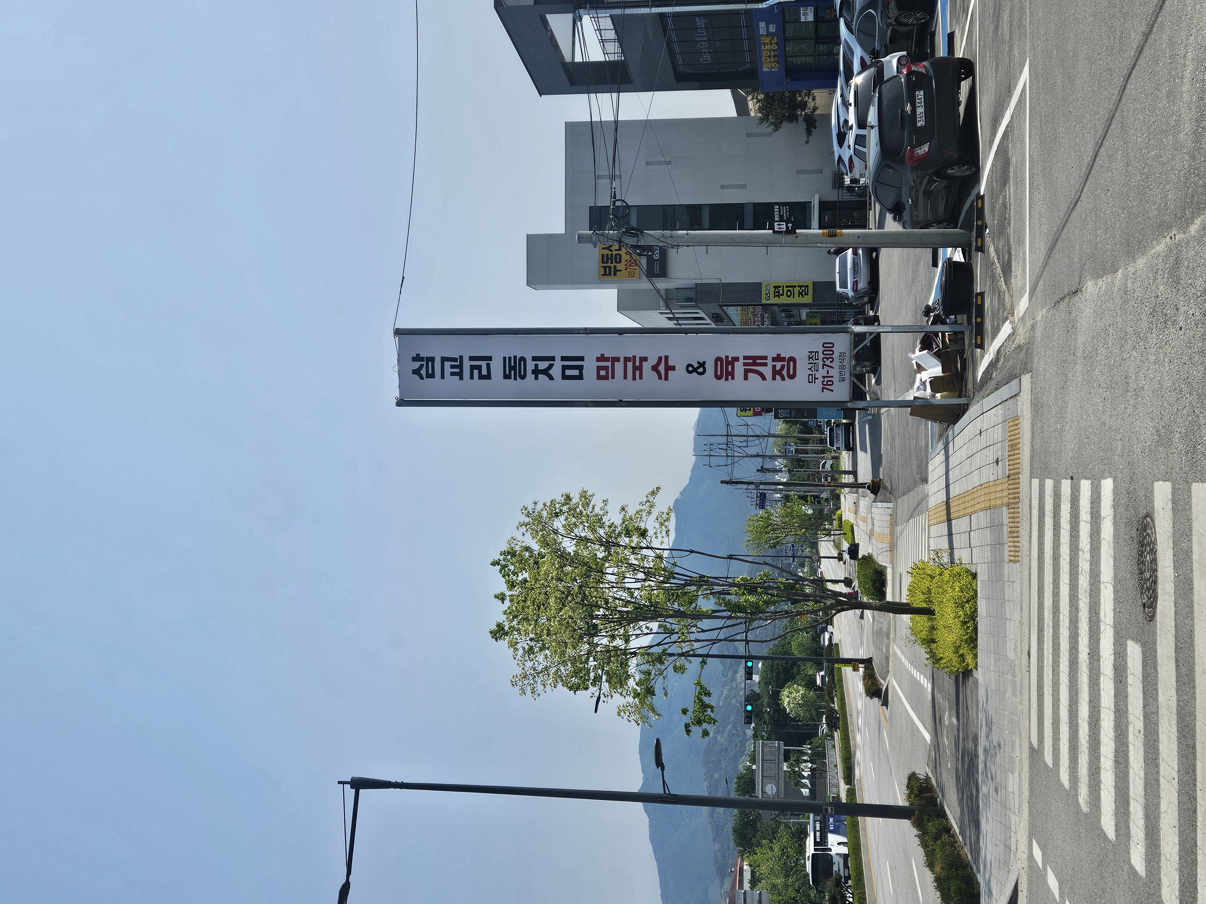Samgyoridongchimimakguksu (삼교리동치미막국수) 2