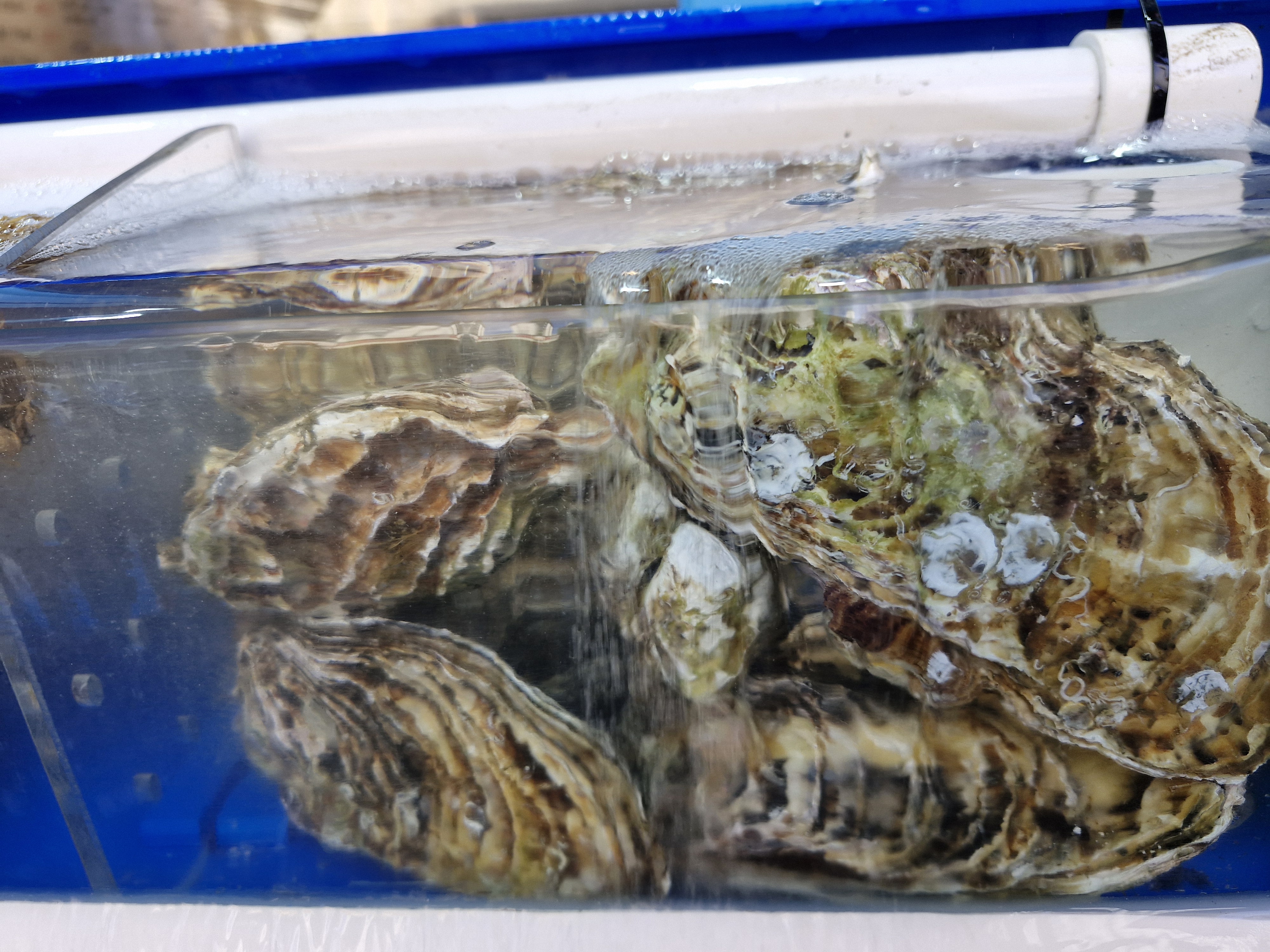 마산아재 사진 2